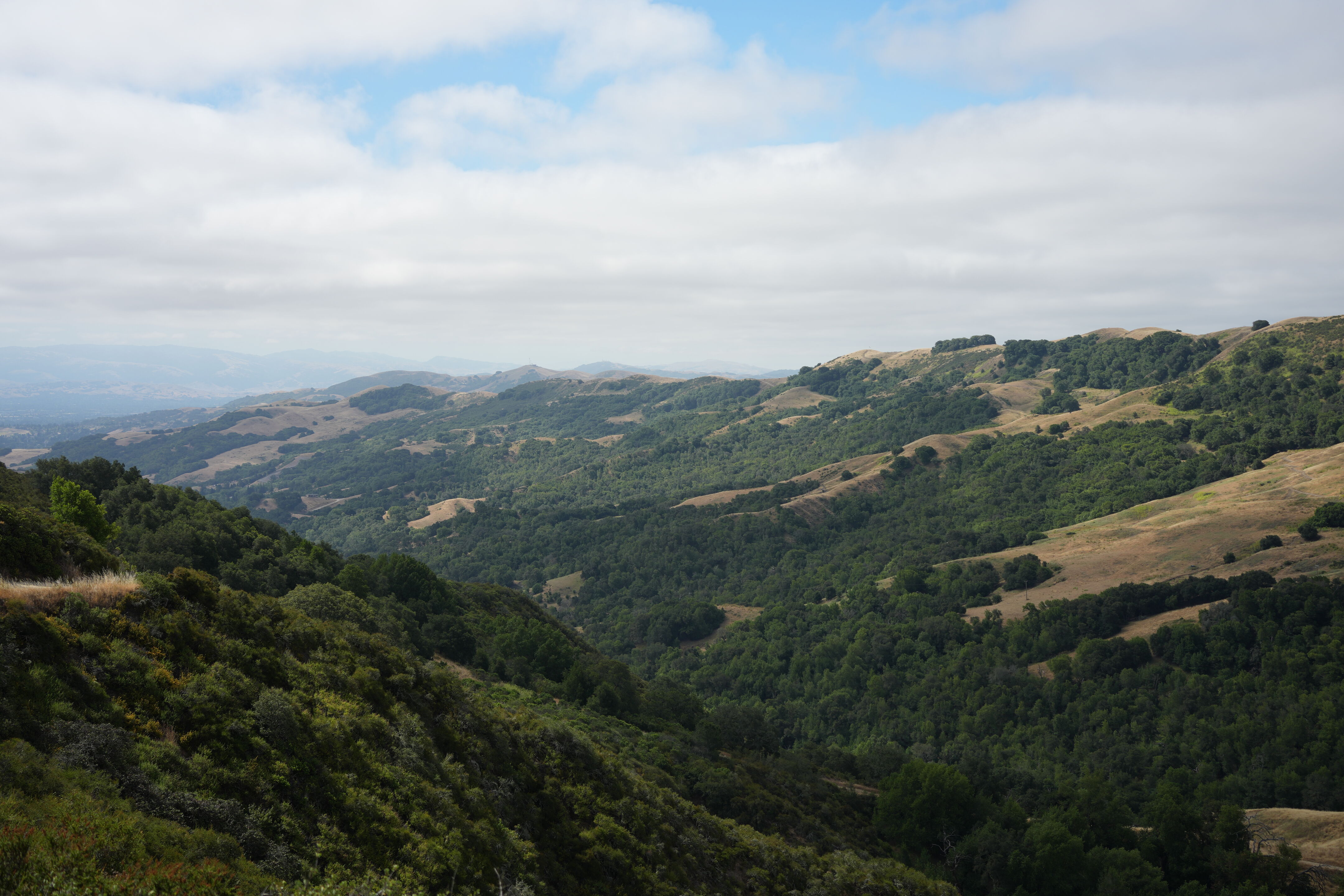 Las Trampas Wilderness Regional Preserve