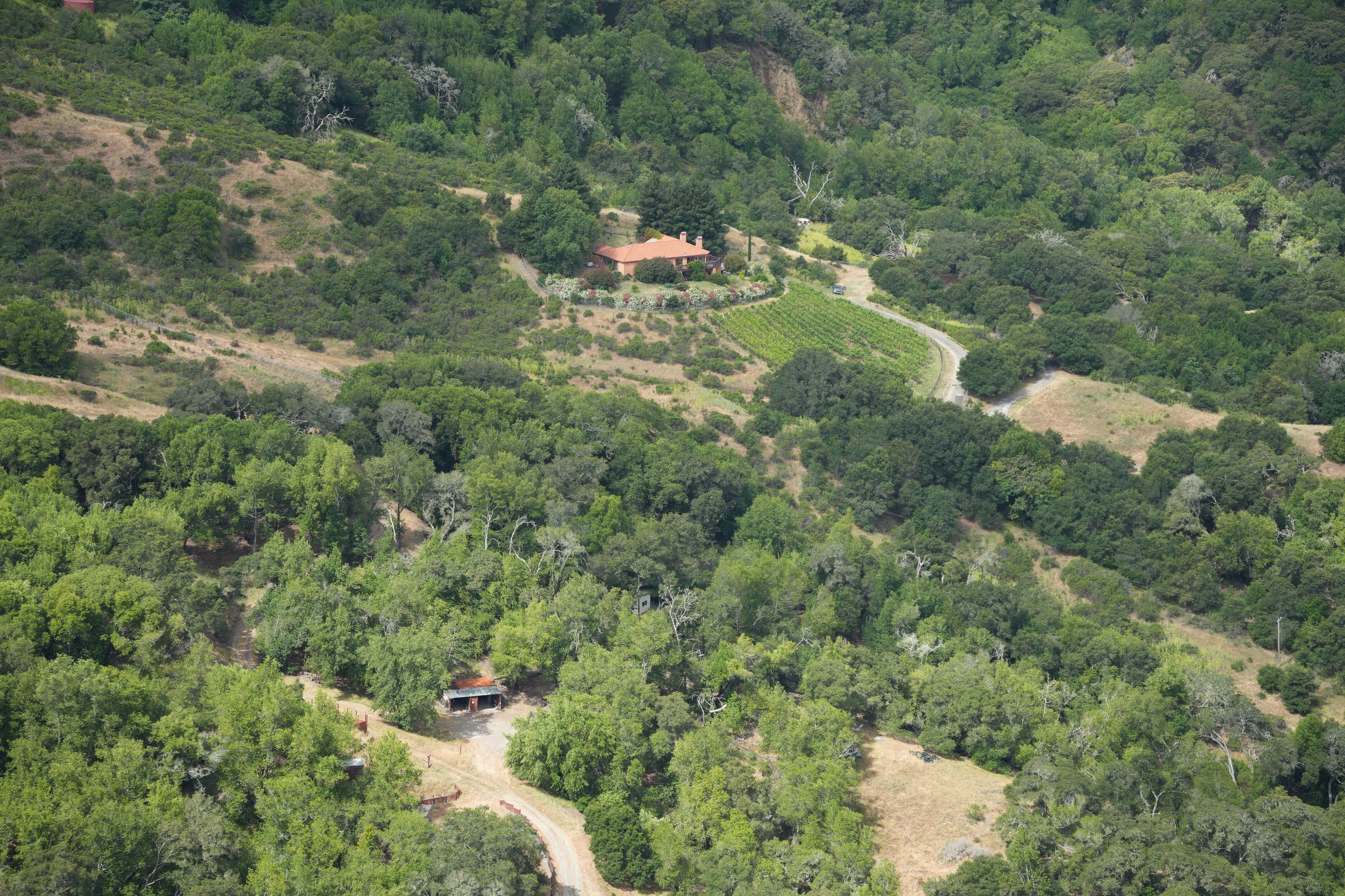 Las Trampas Wilderness Regional Preserve