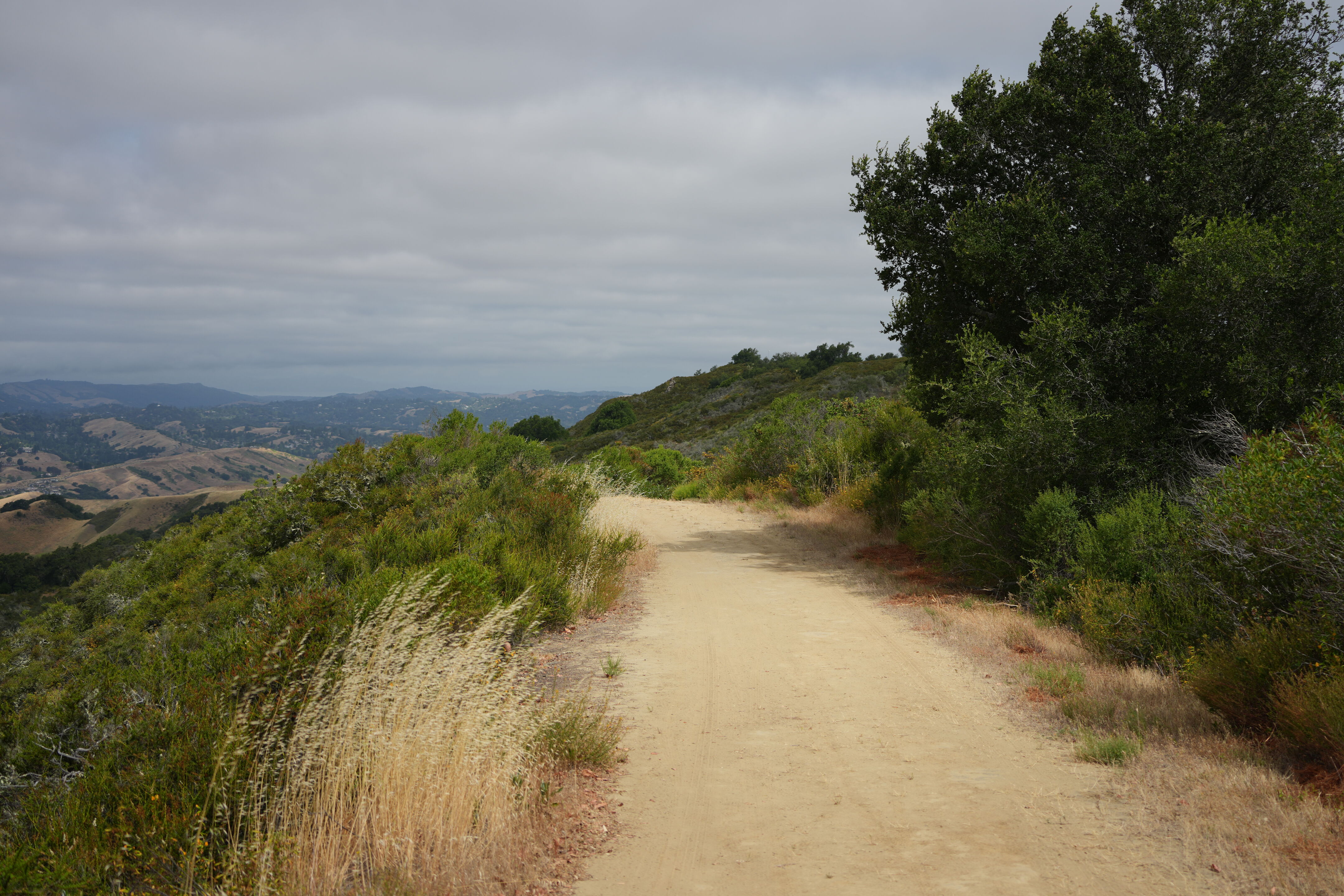 Las Trampas Wilderness Regional Preserve