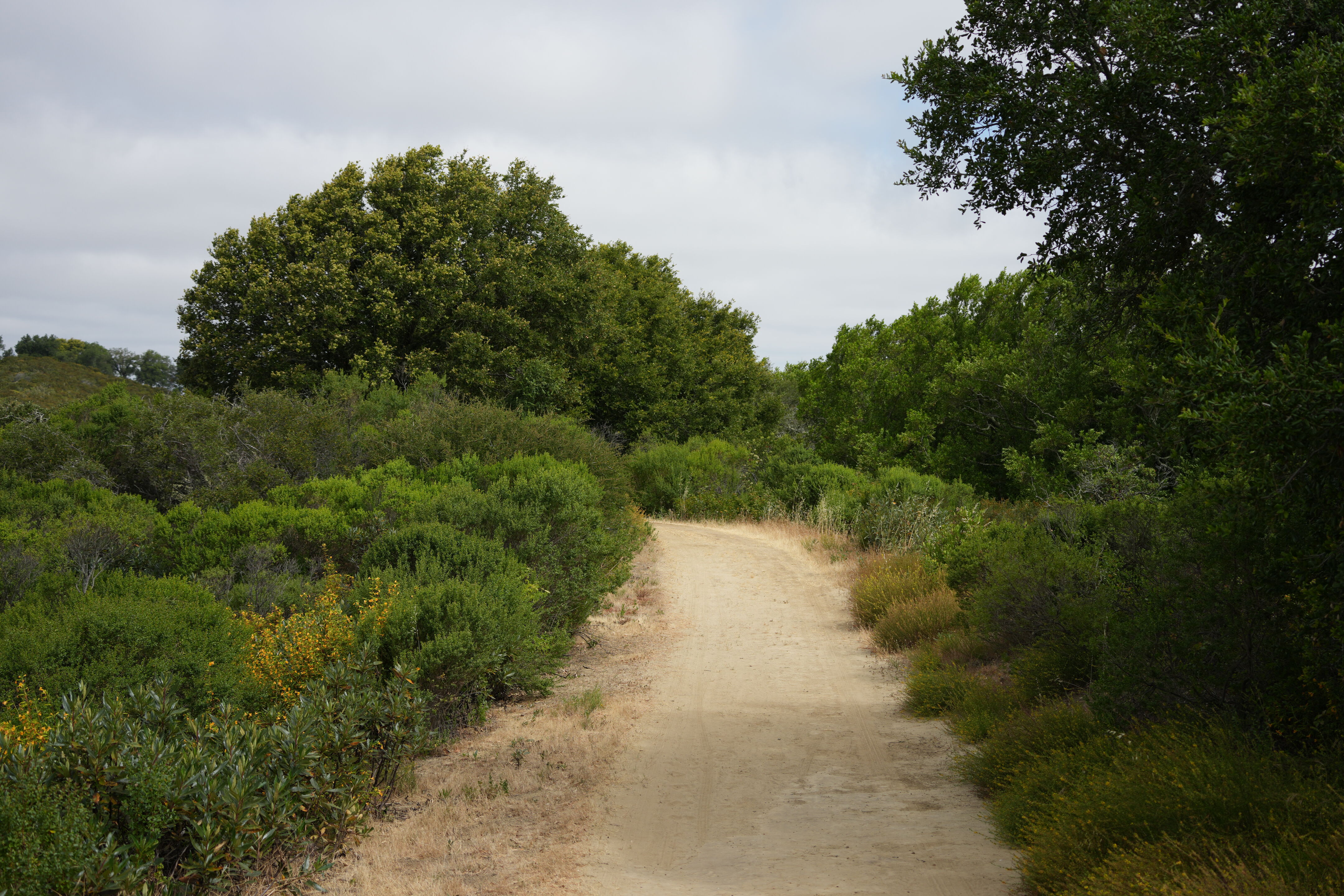 Las Trampas Wilderness Regional Preserve