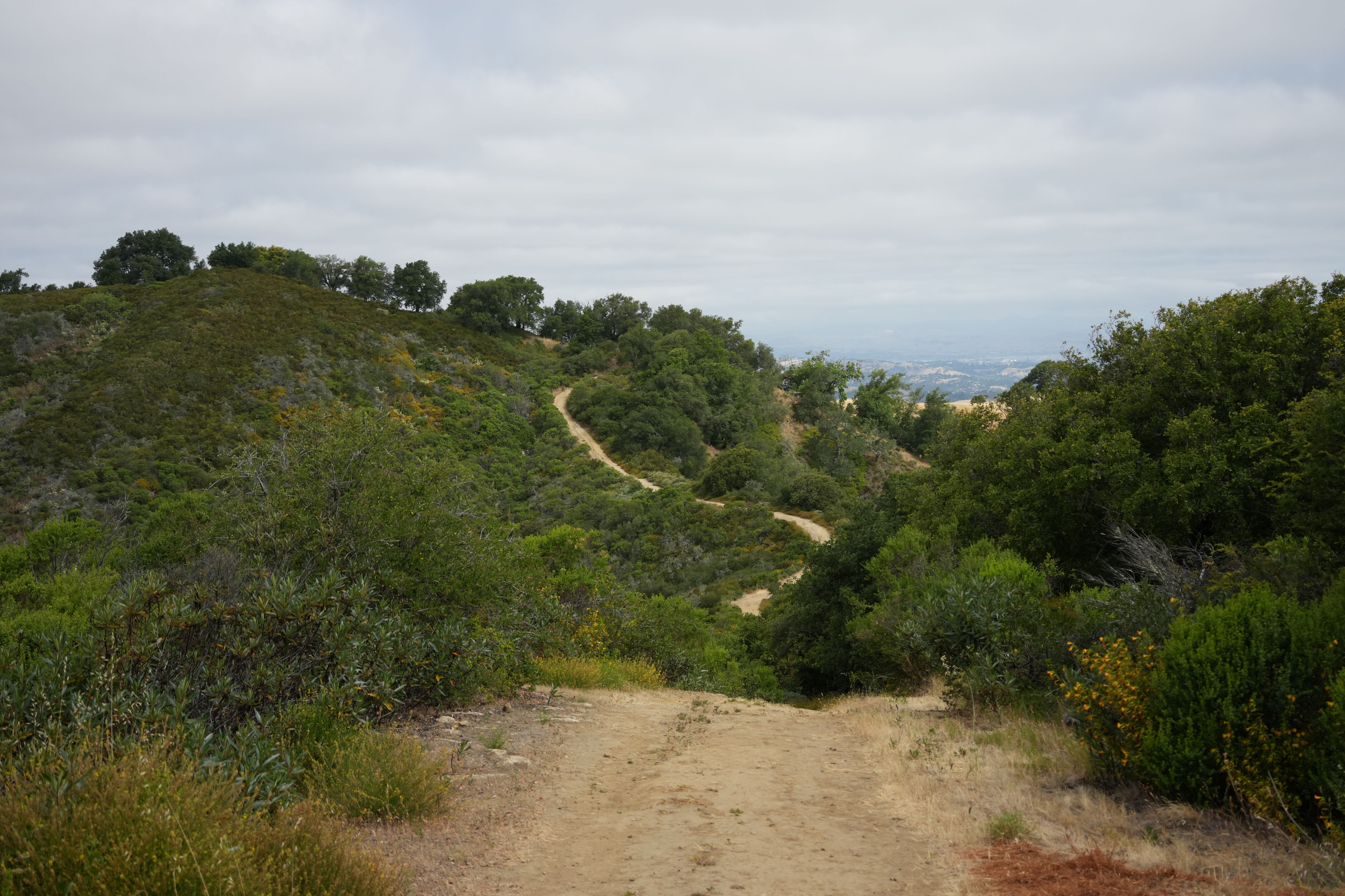 Las Trampas Wilderness Regional Preserve