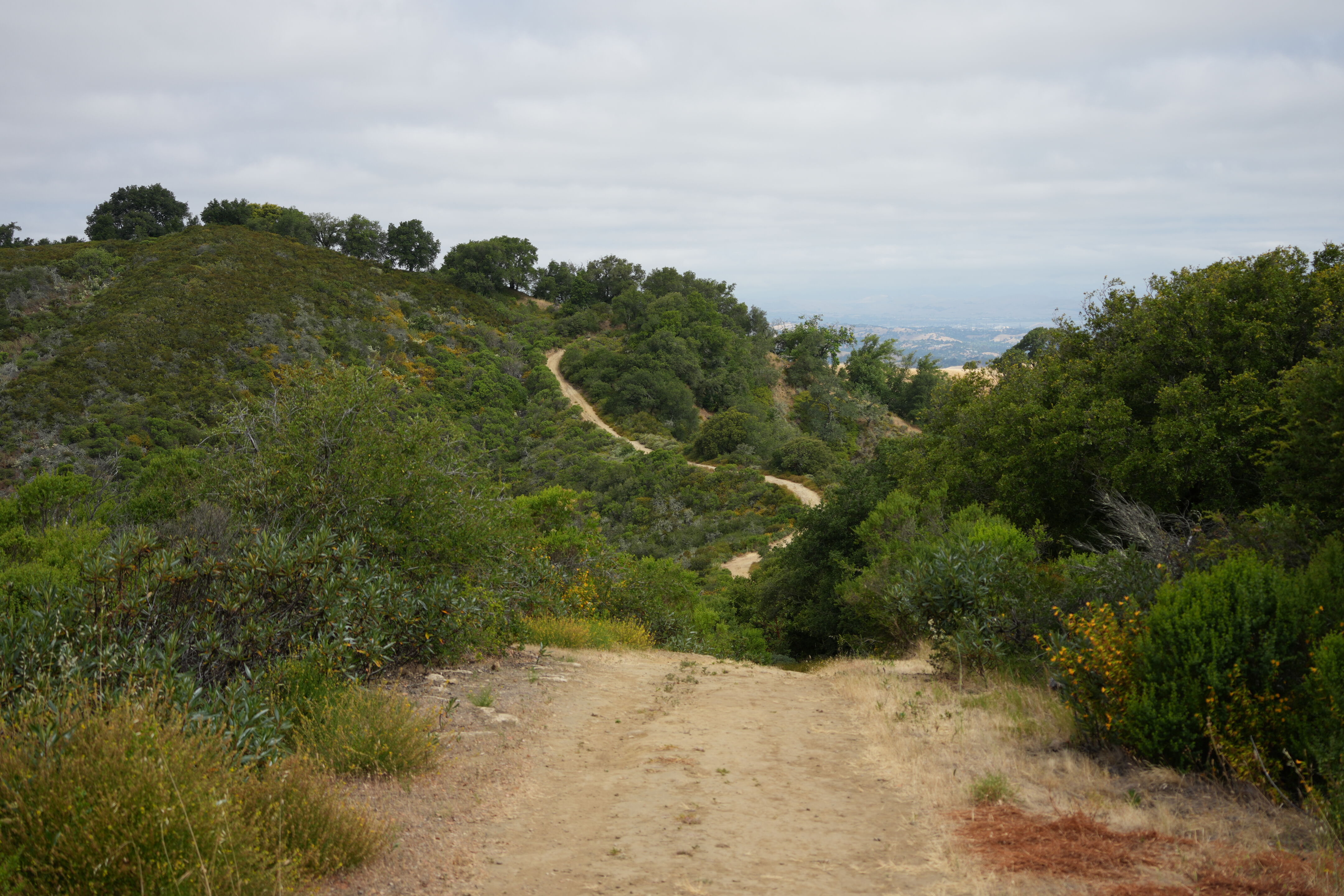 Las Trampas Wilderness Regional Preserve
