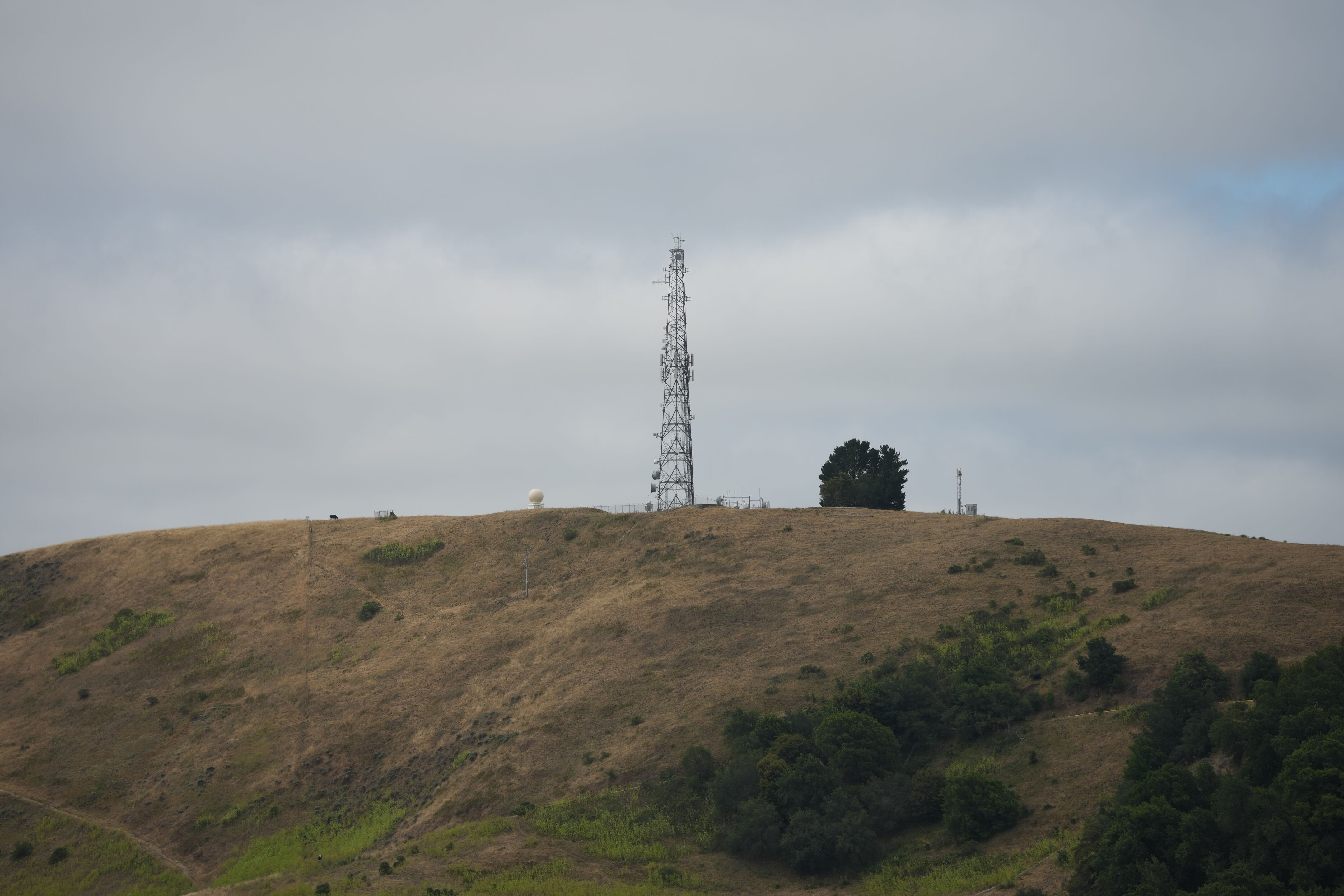 Las Trampas Wilderness Regional Preserve