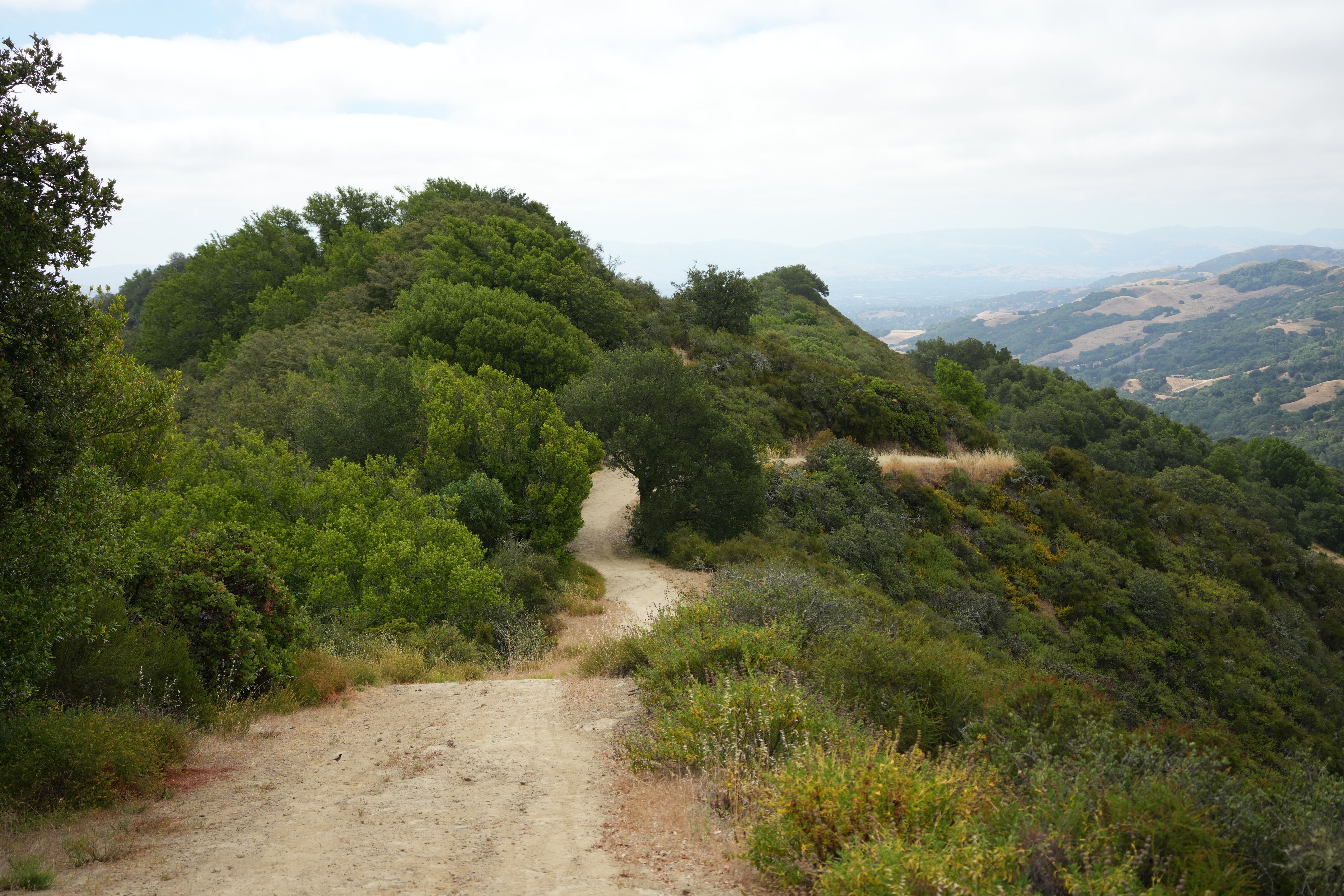 Las Trampas Wilderness Regional Preserve