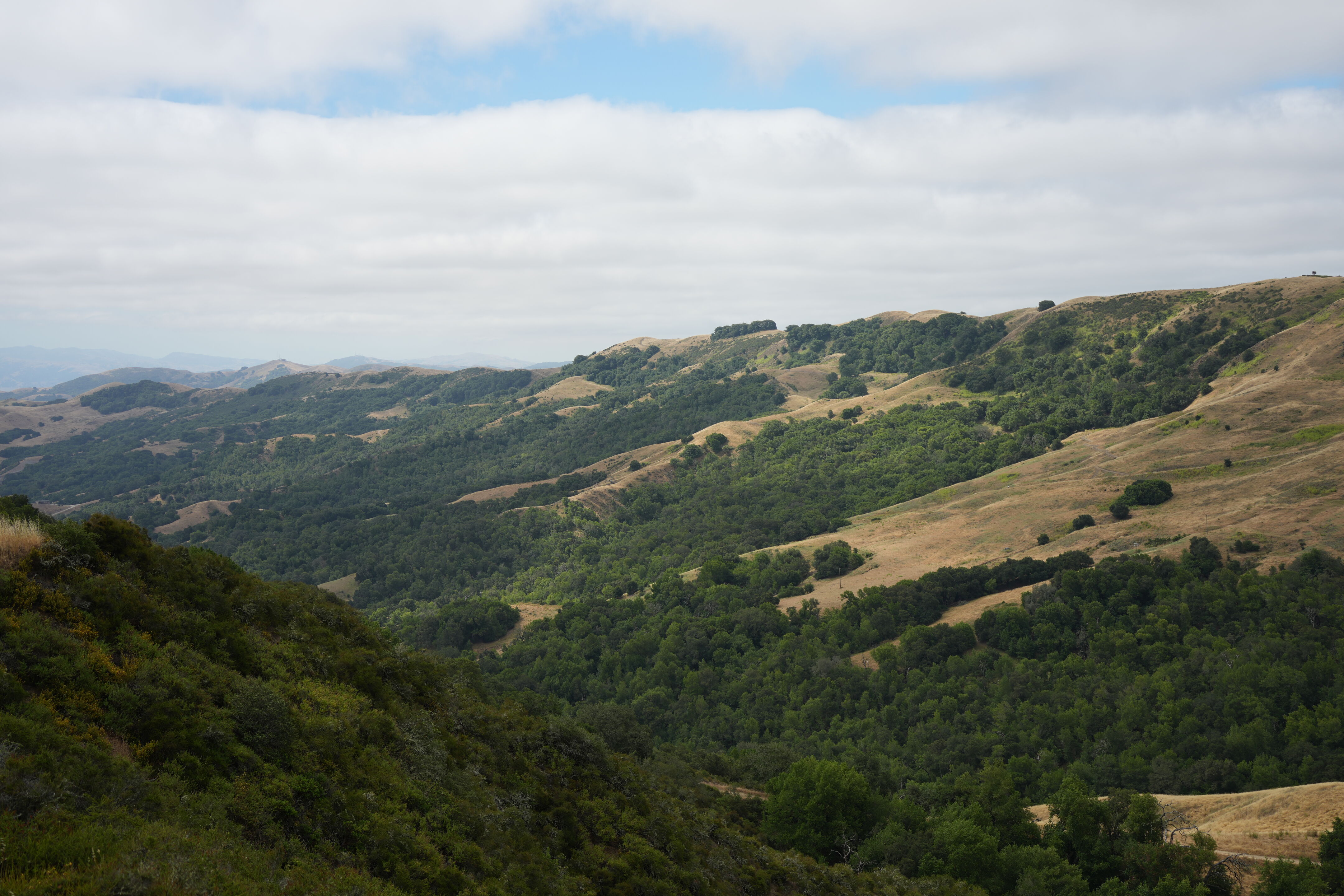 Las Trampas Wilderness Regional Preserve
