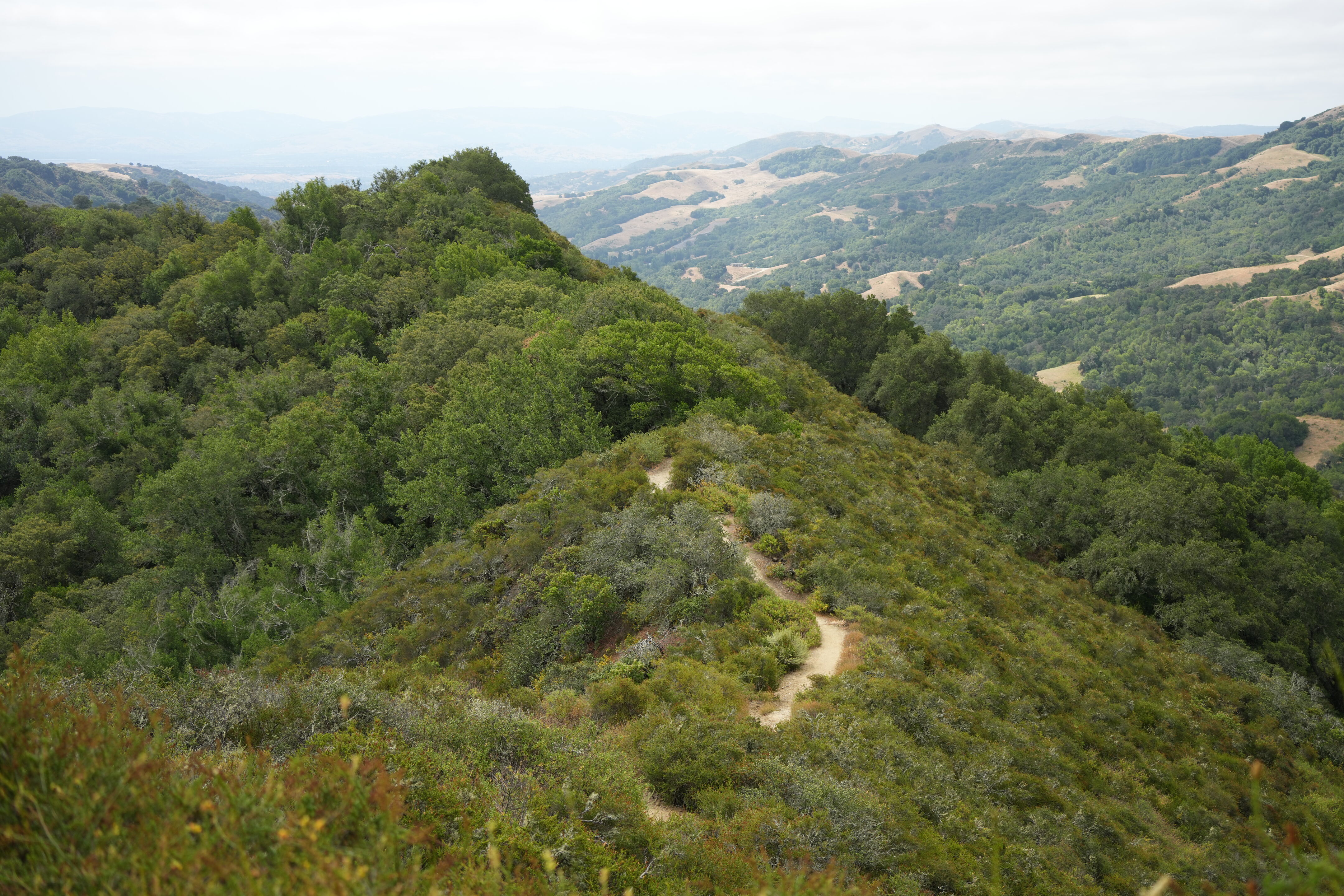 Las Trampas Wilderness Regional Preserve