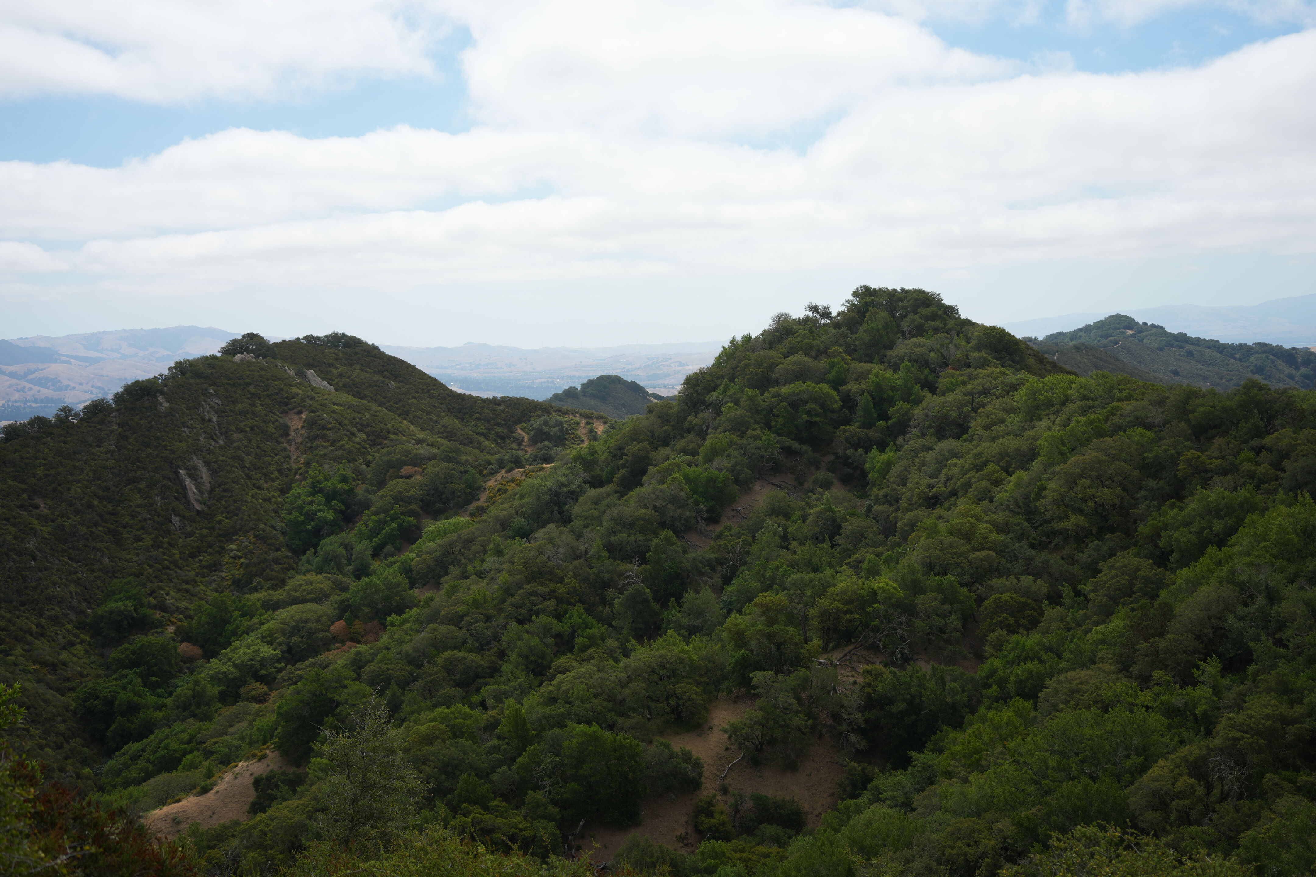 Las Trampas Wilderness Regional Preserve