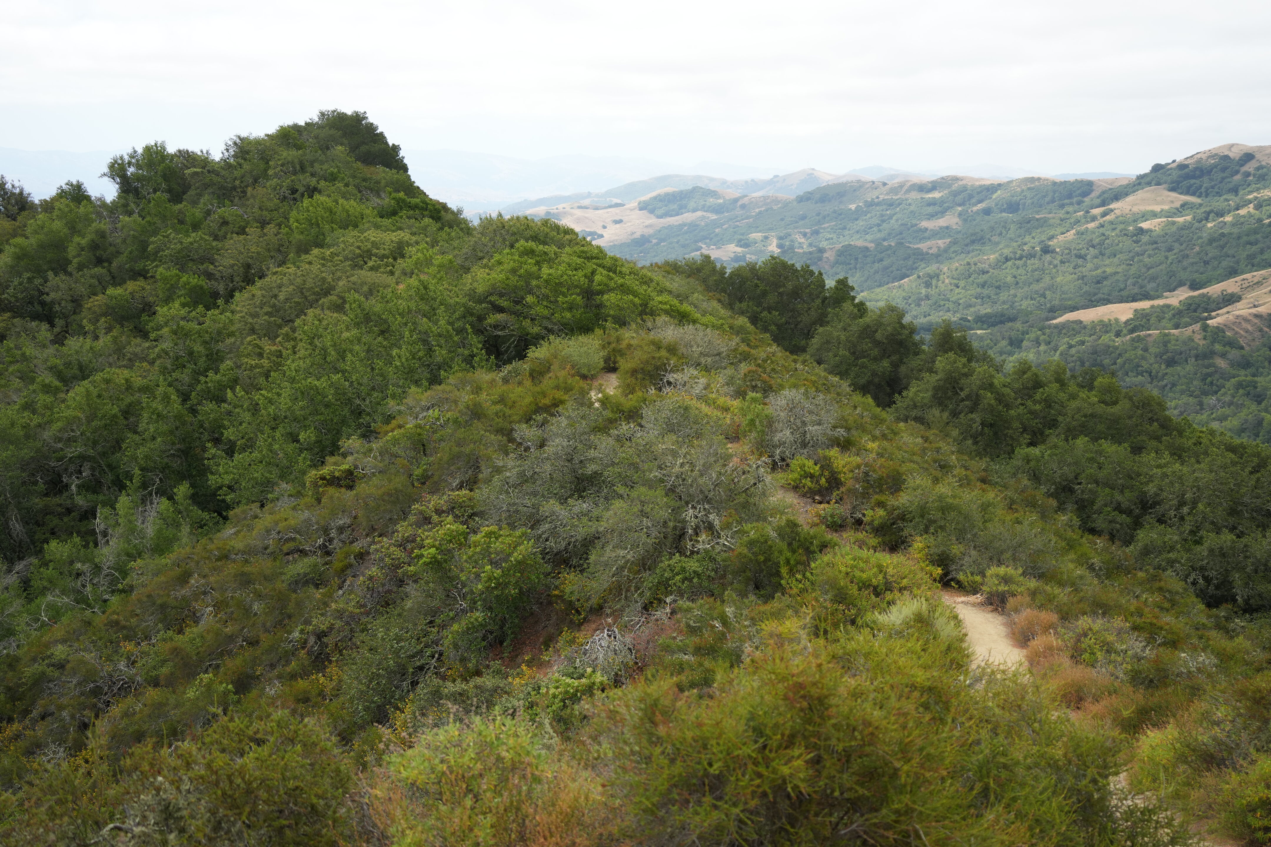 Las Trampas Wilderness Regional Preserve