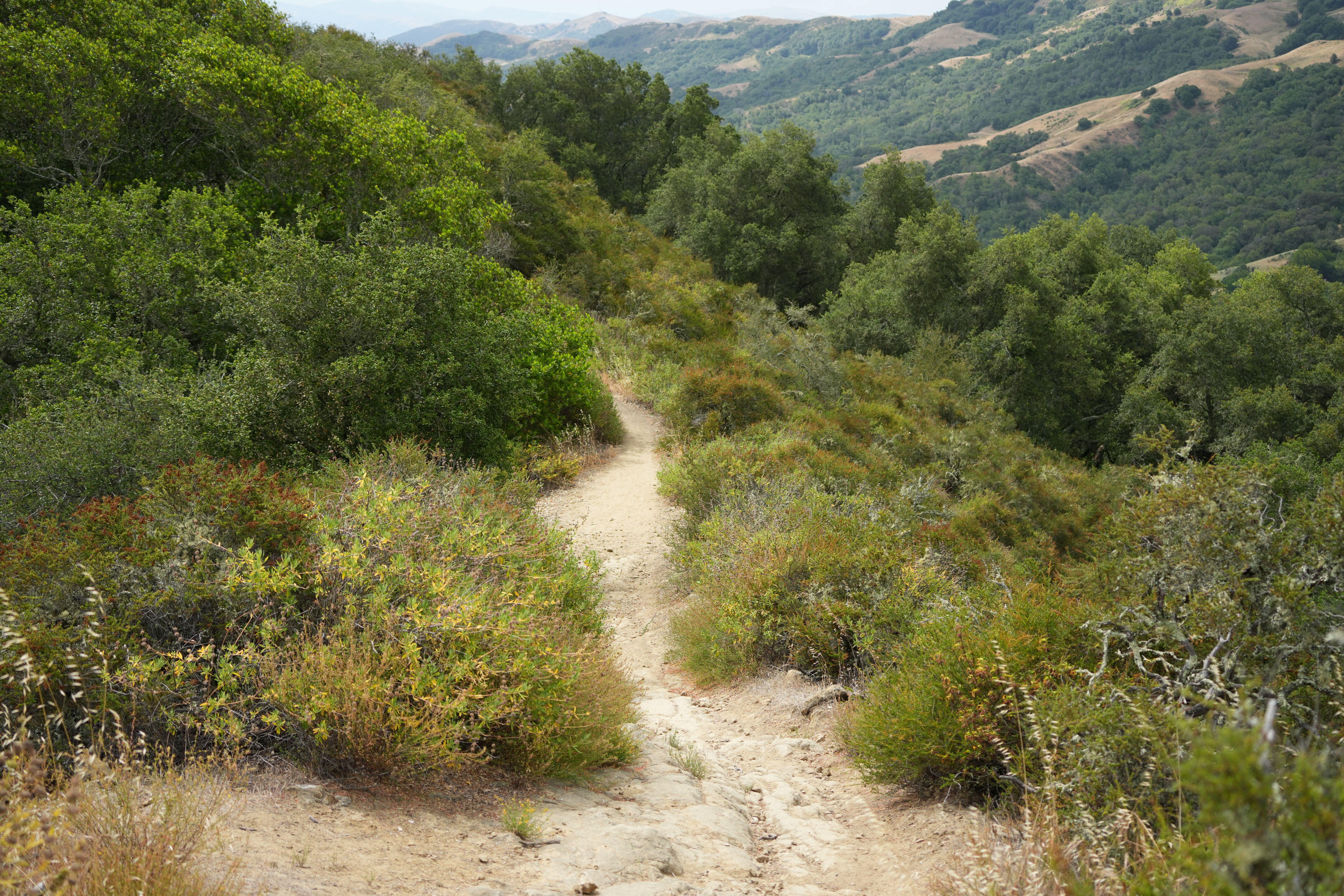 Las Trampas Wilderness Regional Preserve