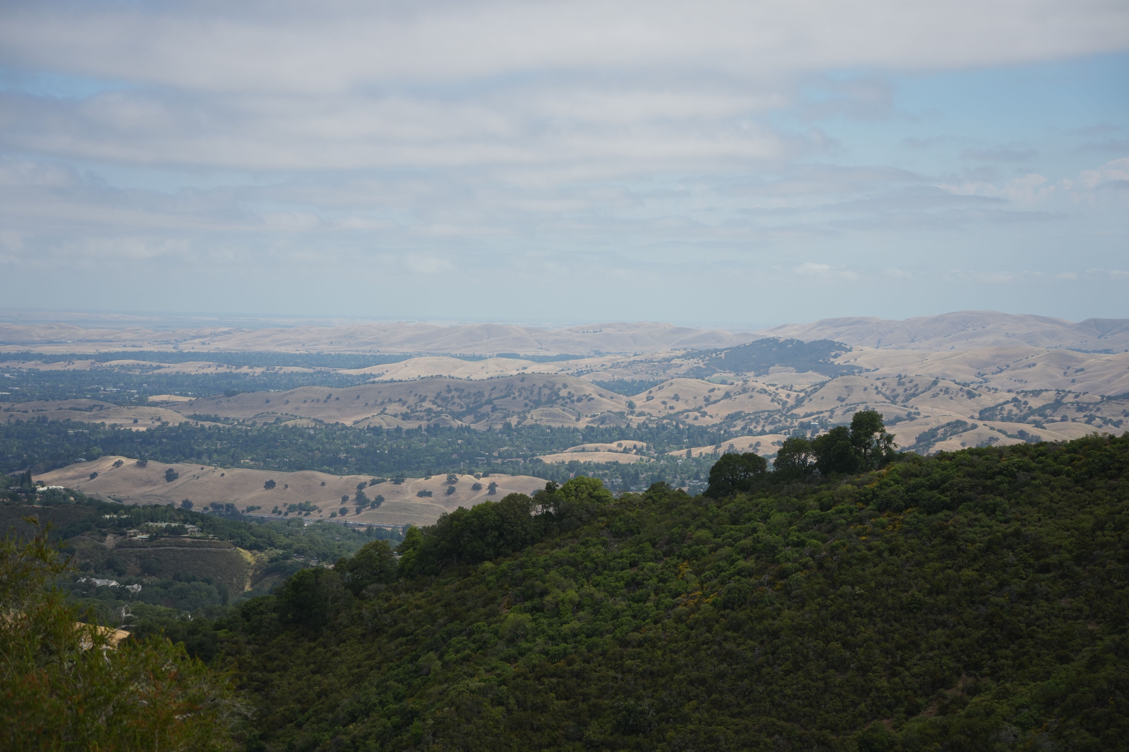 Las Trampas Wilderness Regional Preserve