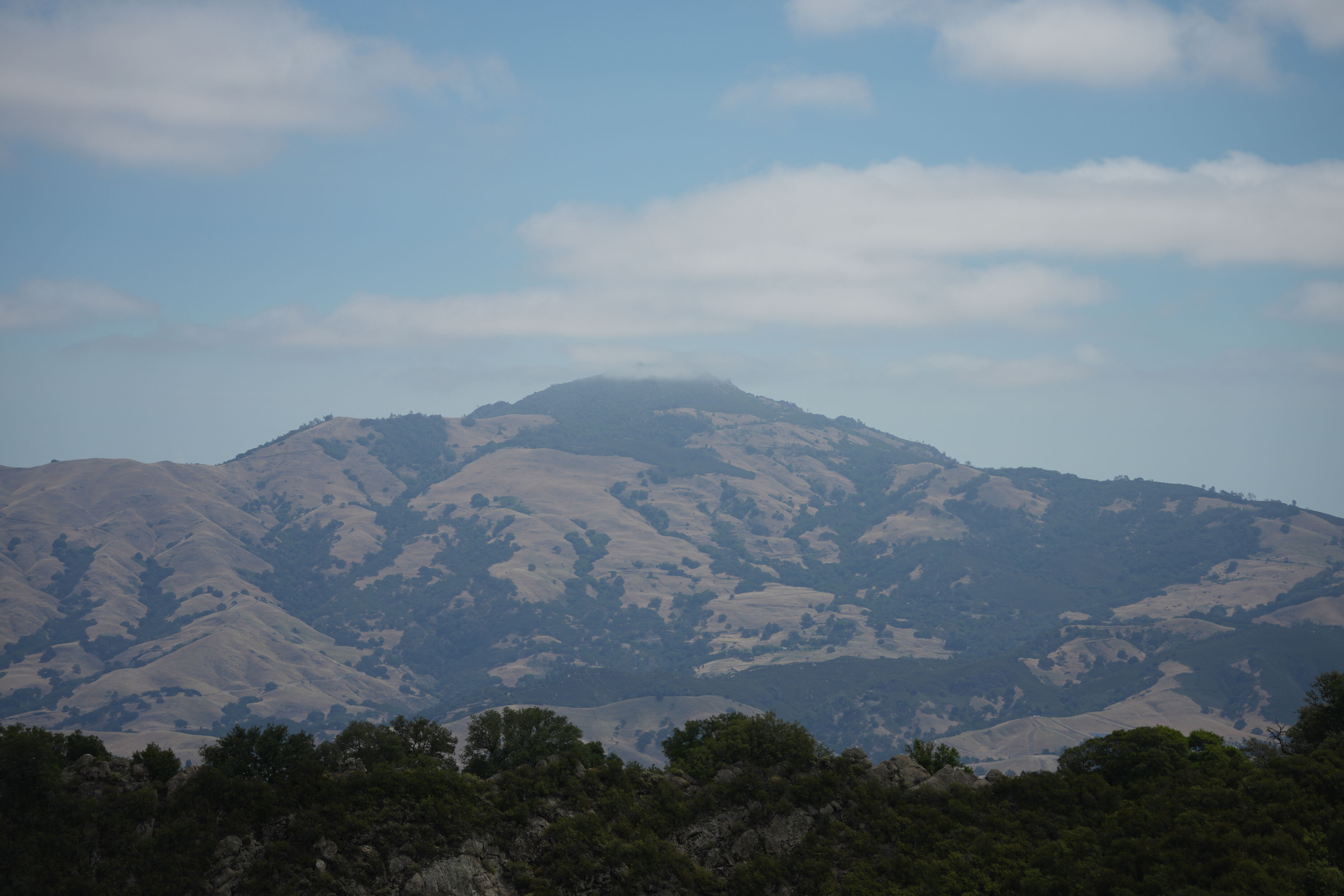 Las Trampas Wilderness Regional Preserve