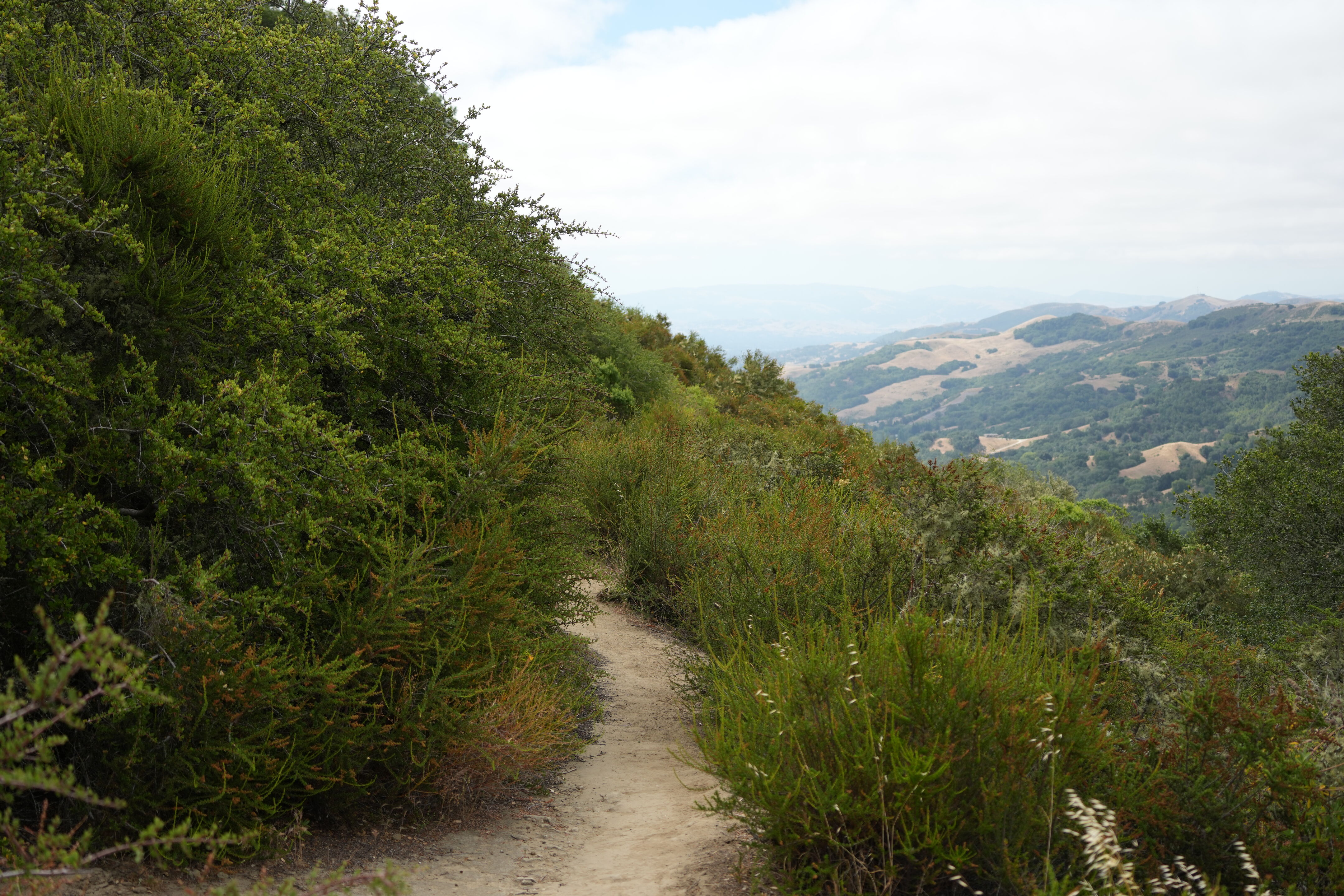 Las Trampas Wilderness Regional Preserve
