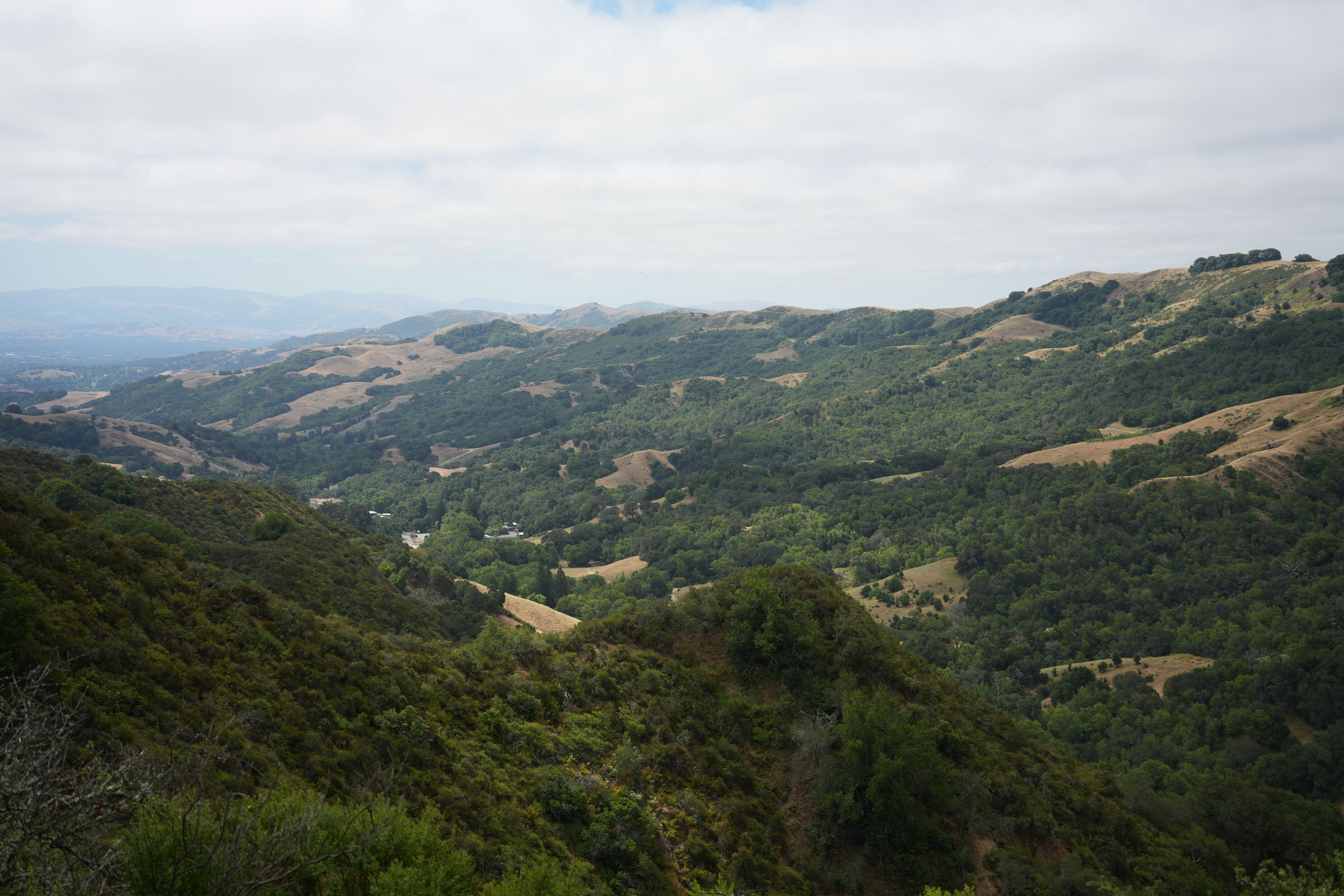 Las Trampas Wilderness Regional Preserve