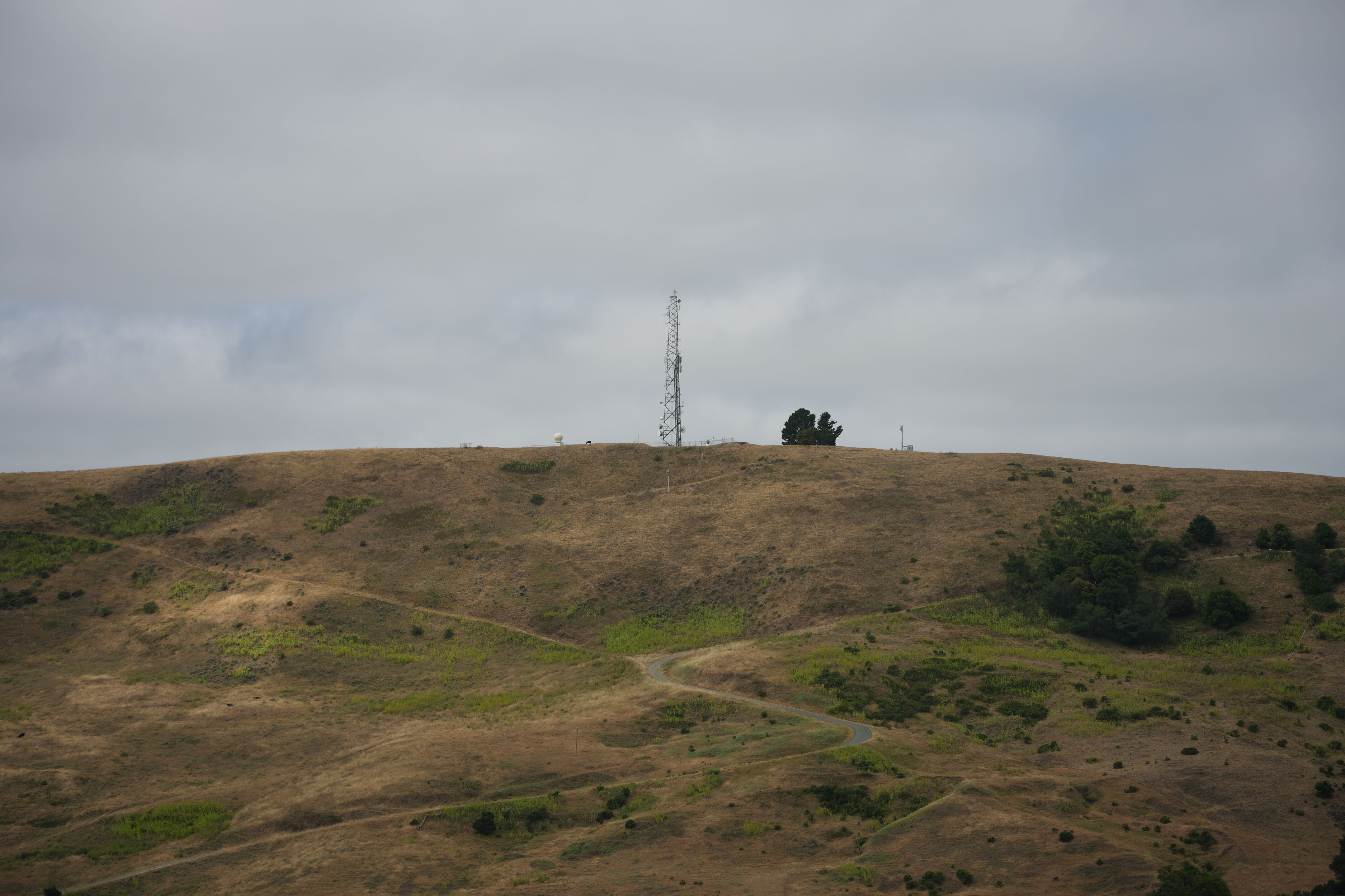 Las Trampas Wilderness Regional Preserve