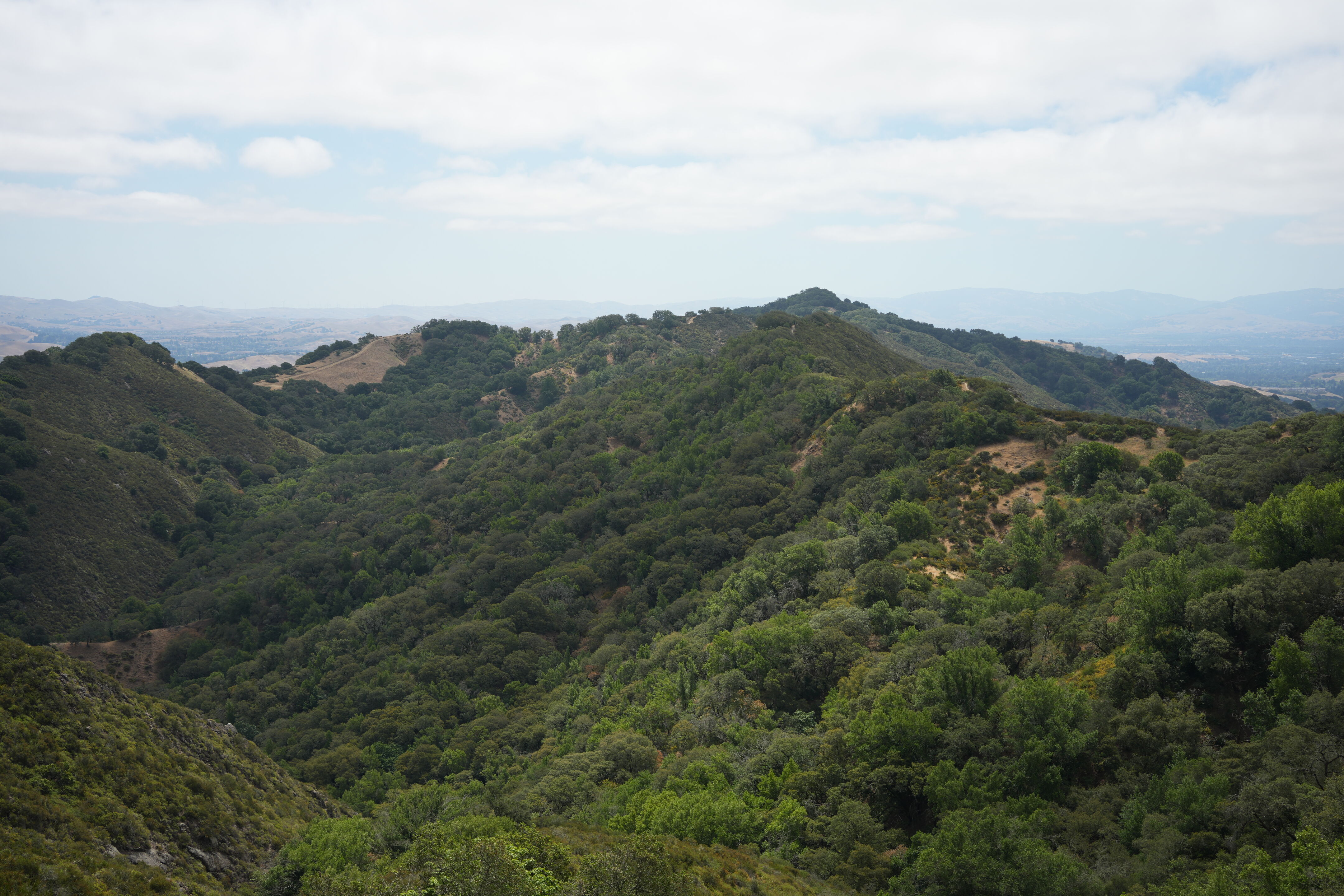 Las Trampas Wilderness Regional Preserve