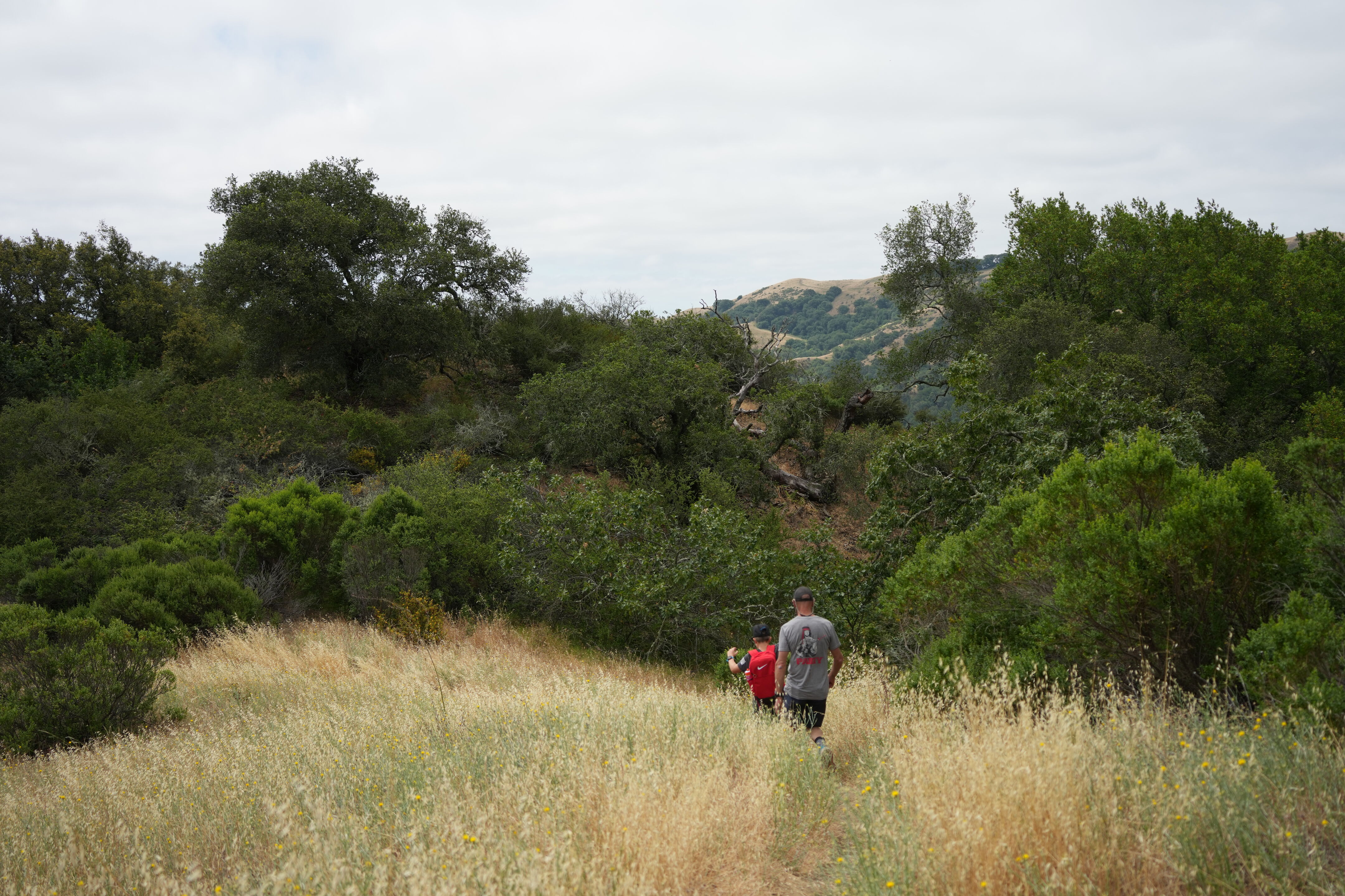 Las Trampas Wilderness Regional Preserve