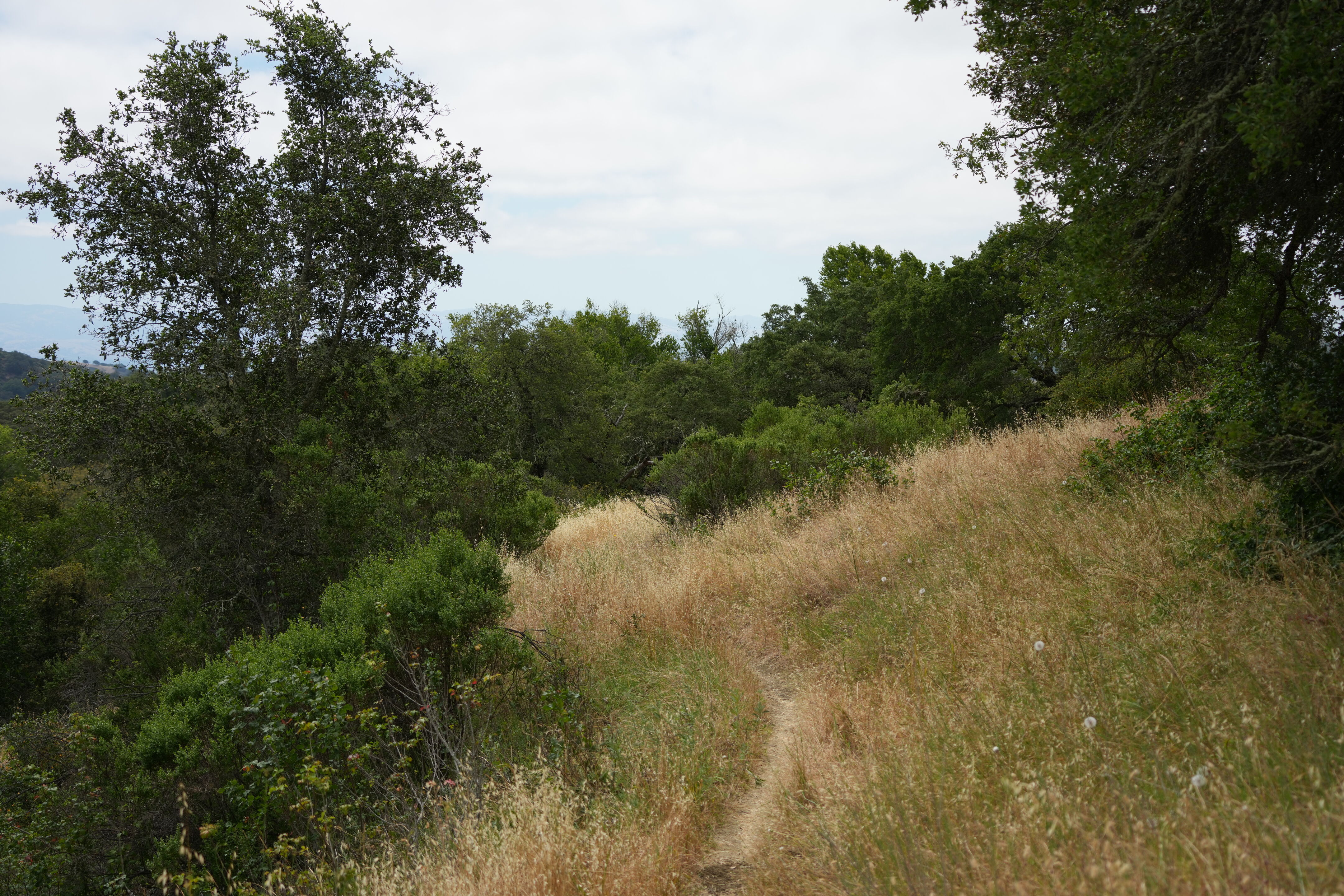 Las Trampas Wilderness Regional Preserve