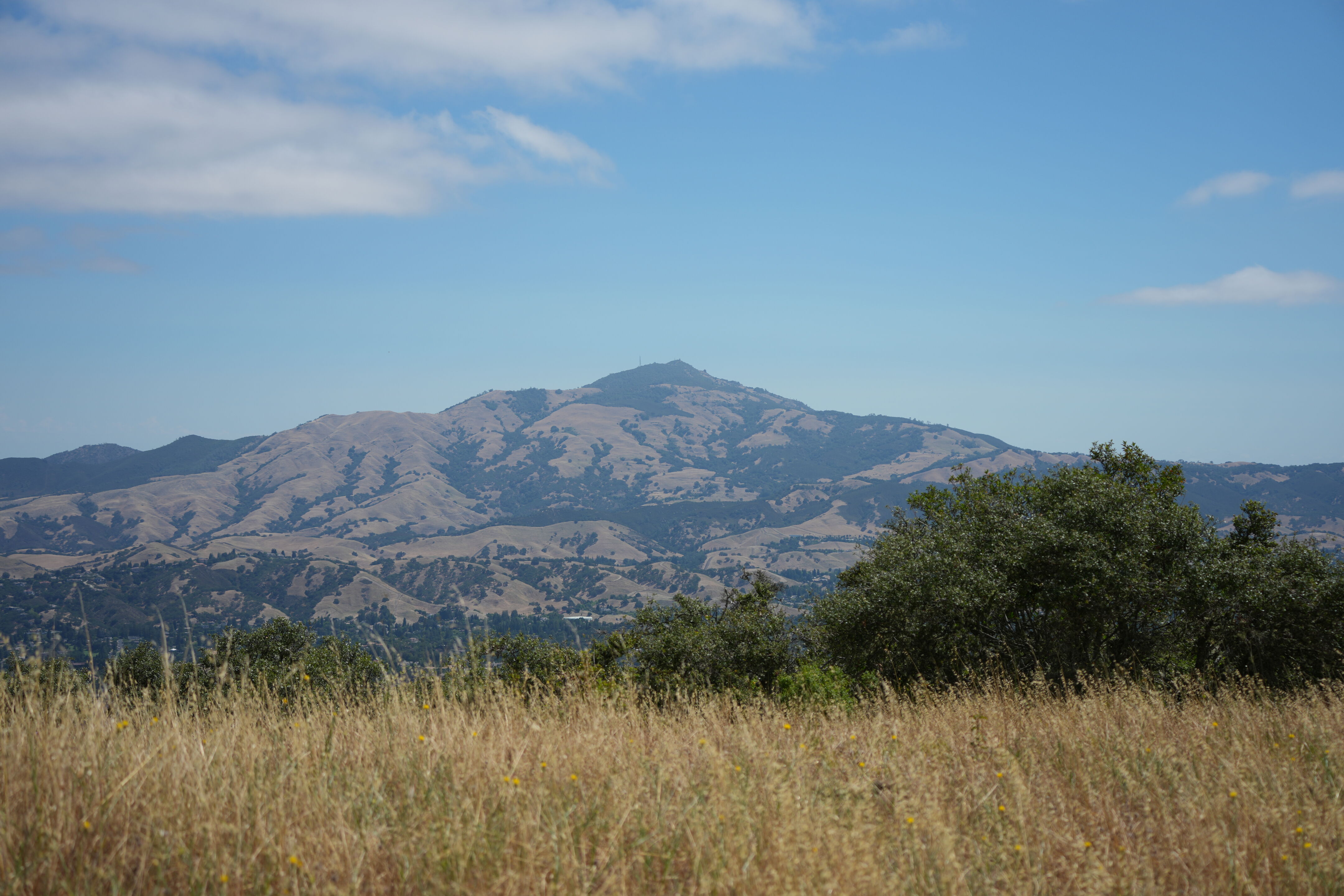 Las Trampas Wilderness Regional Preserve
