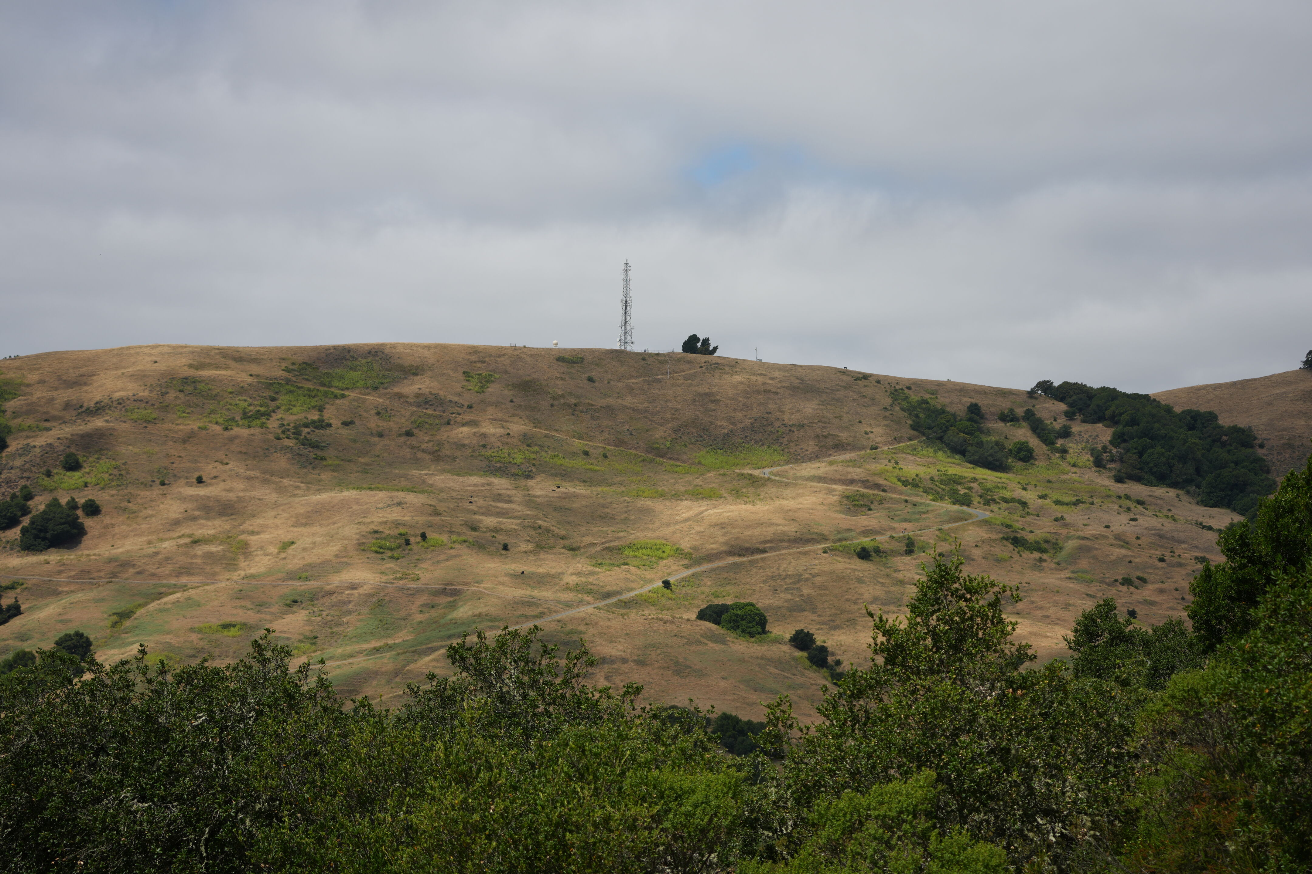 Las Trampas Wilderness Regional Preserve