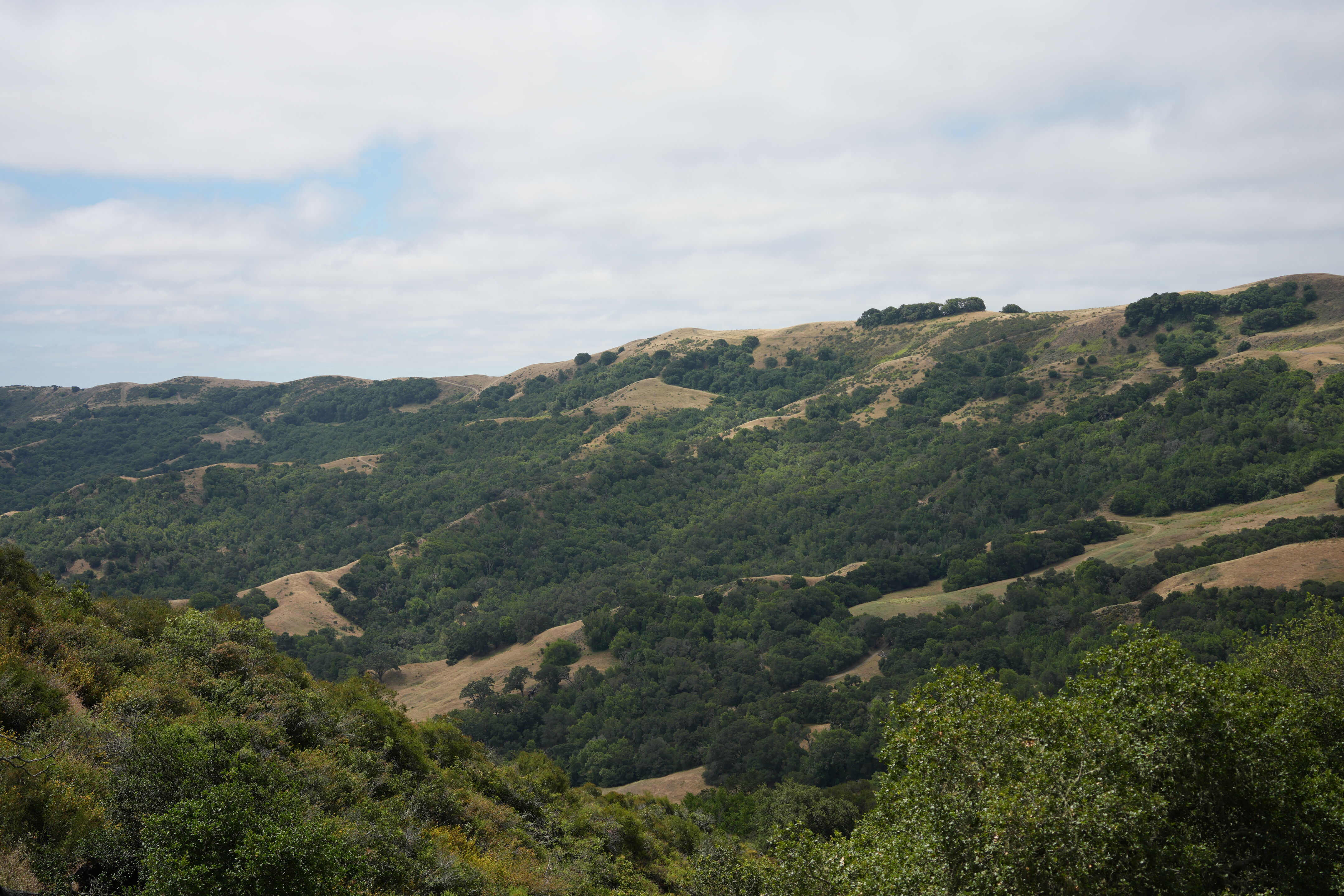 Las Trampas Wilderness Regional Preserve