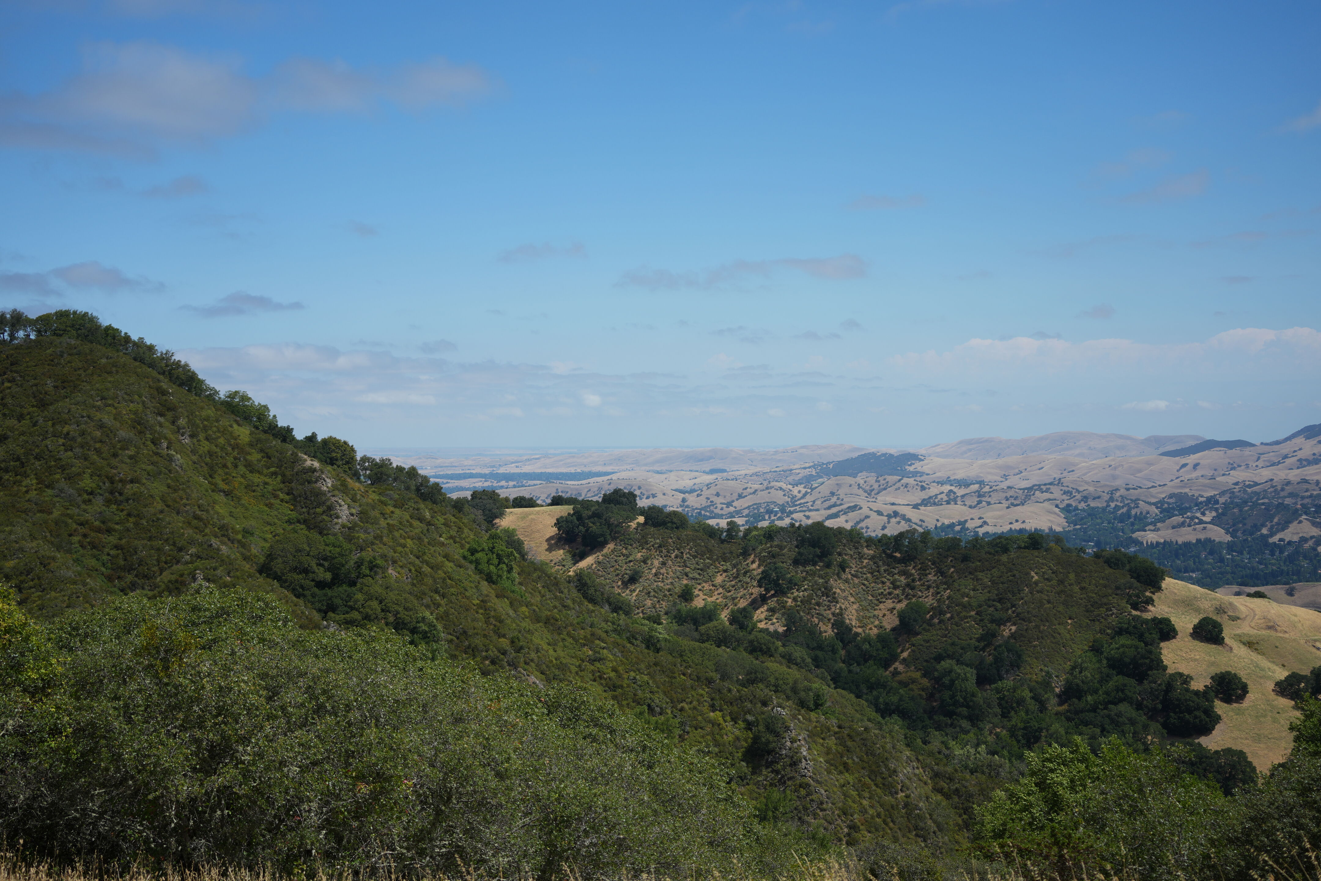 Las Trampas Wilderness Regional Preserve