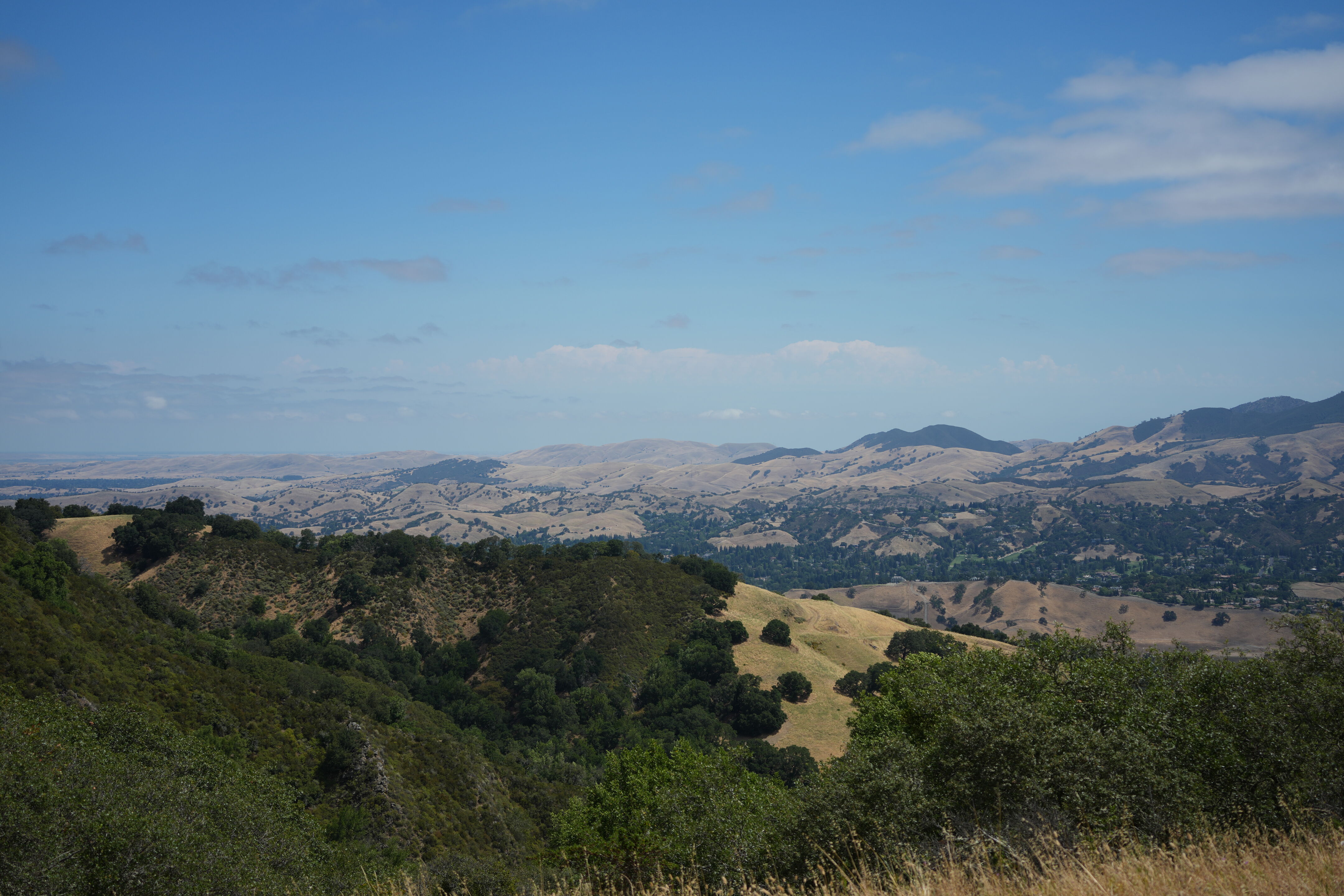 Las Trampas Wilderness Regional Preserve