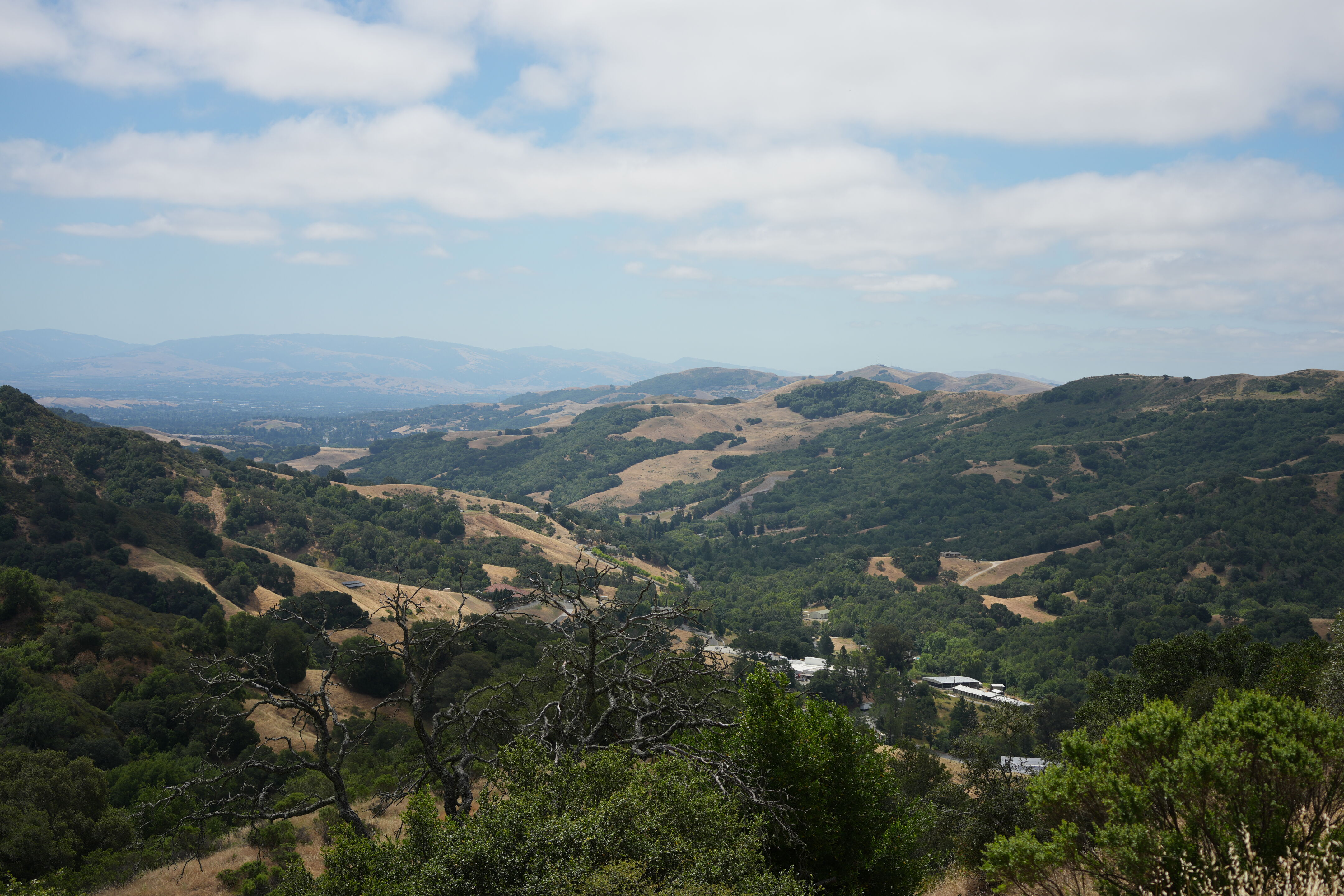 Las Trampas Wilderness Regional Preserve