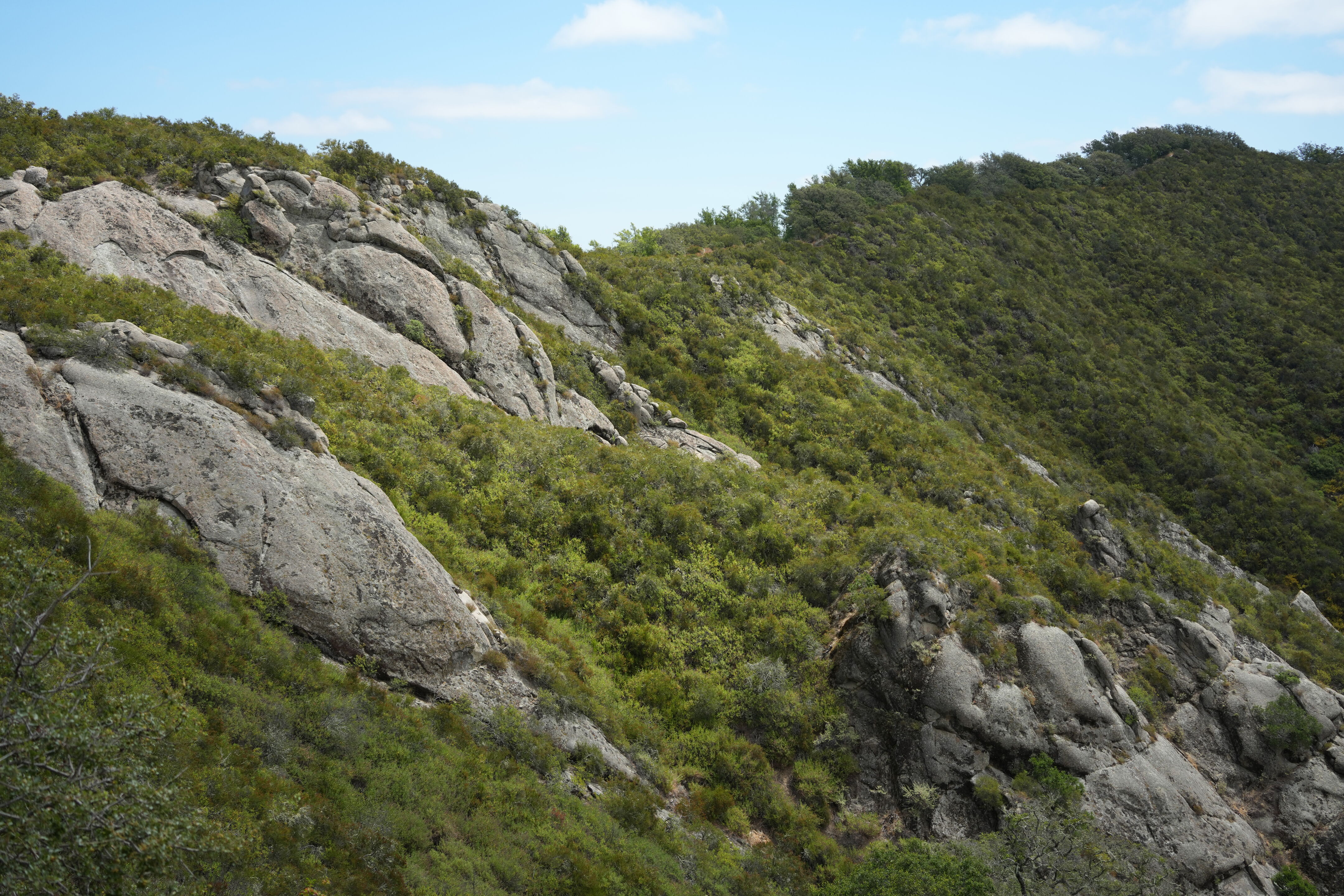 Las Trampas Wilderness Regional Preserve