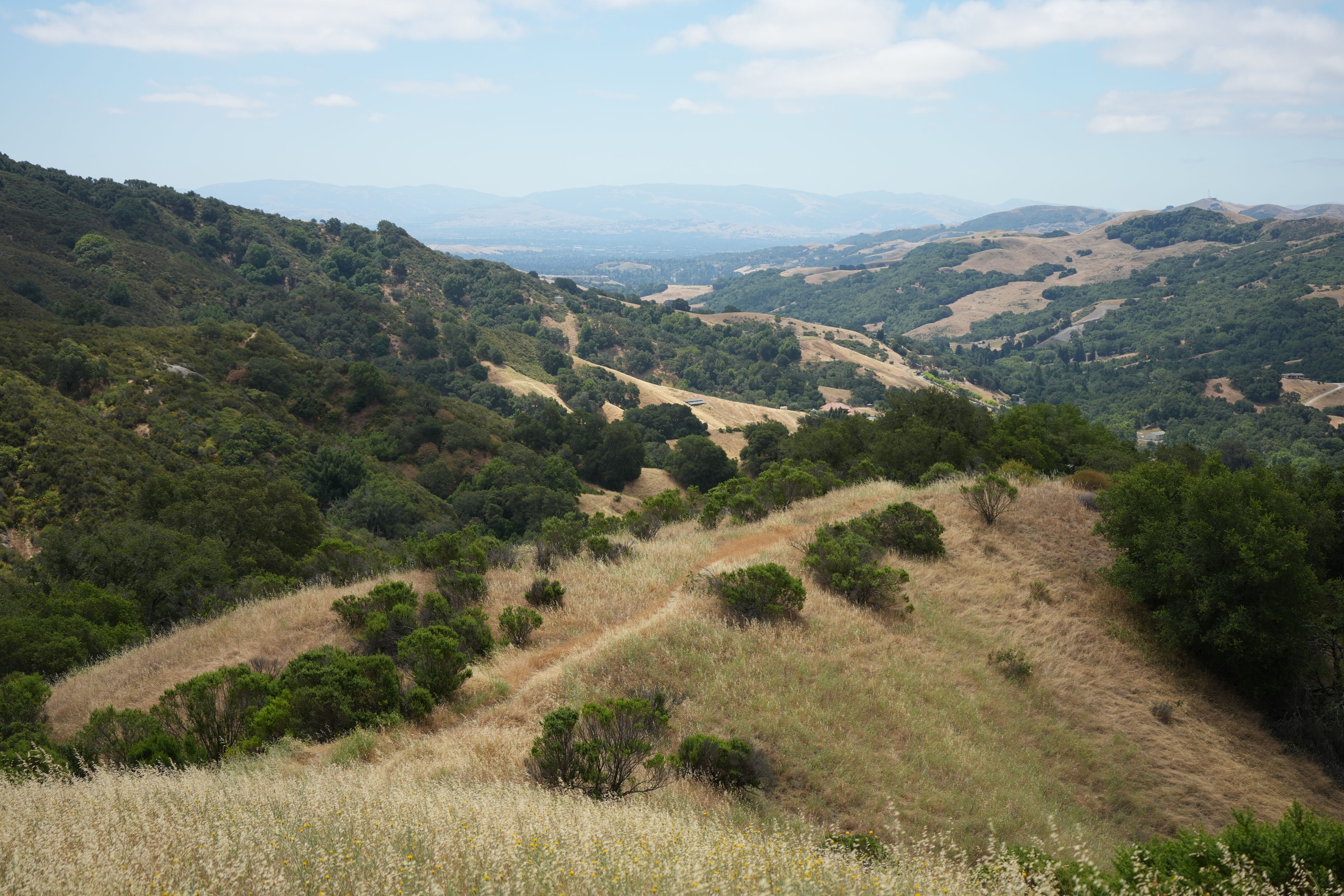 Las Trampas Wilderness Regional Preserve