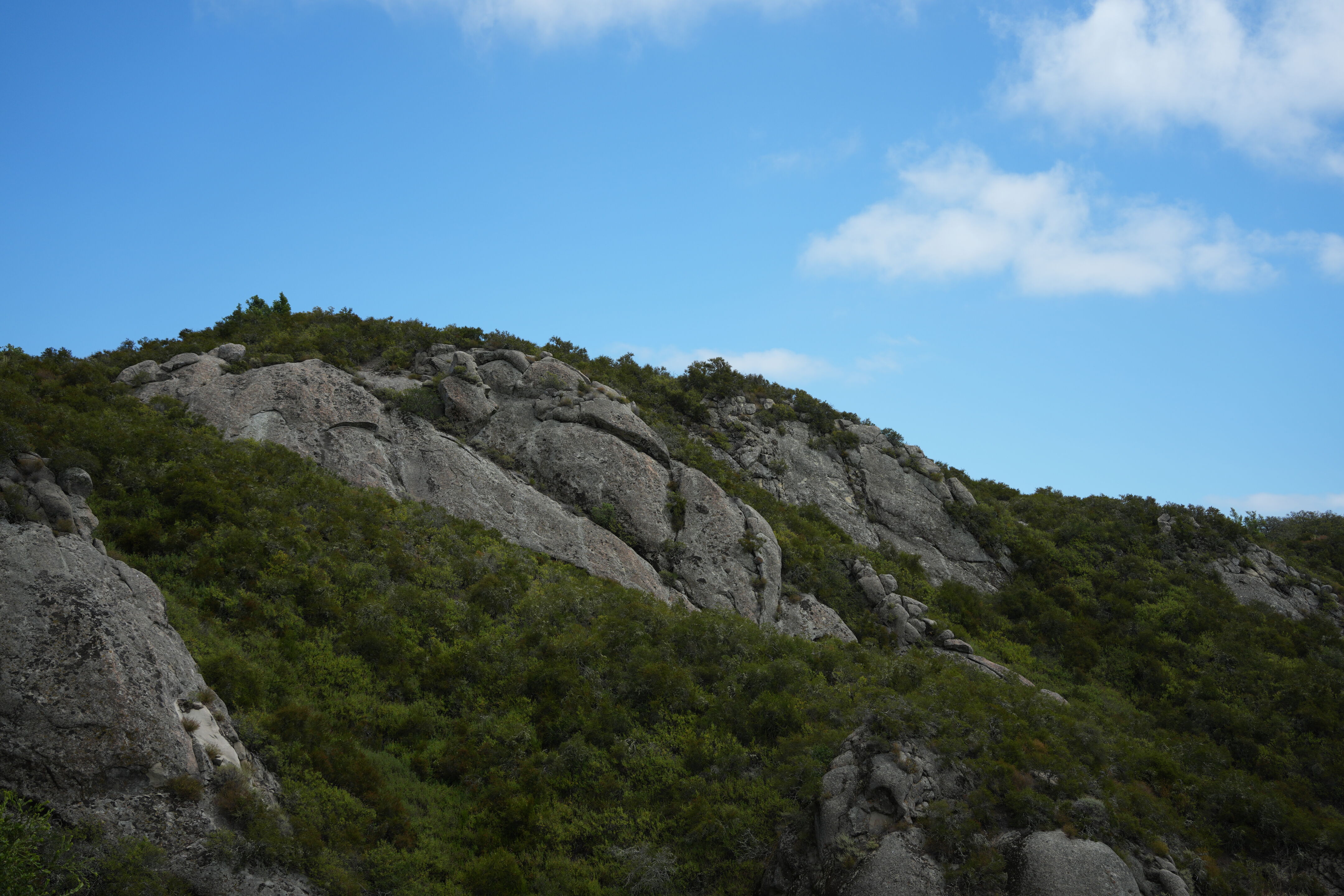 Las Trampas Wilderness Regional Preserve