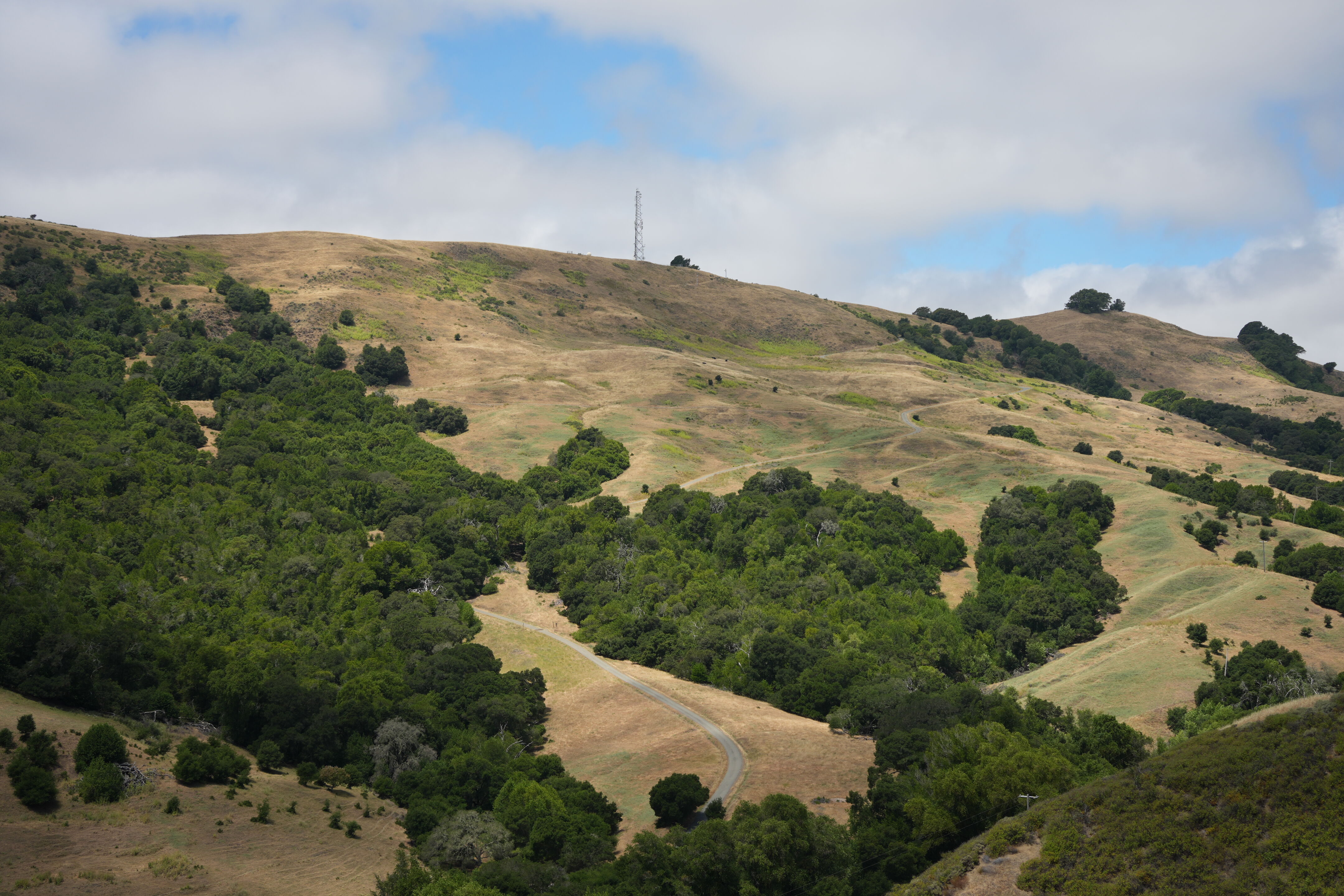 Las Trampas Wilderness Regional Preserve