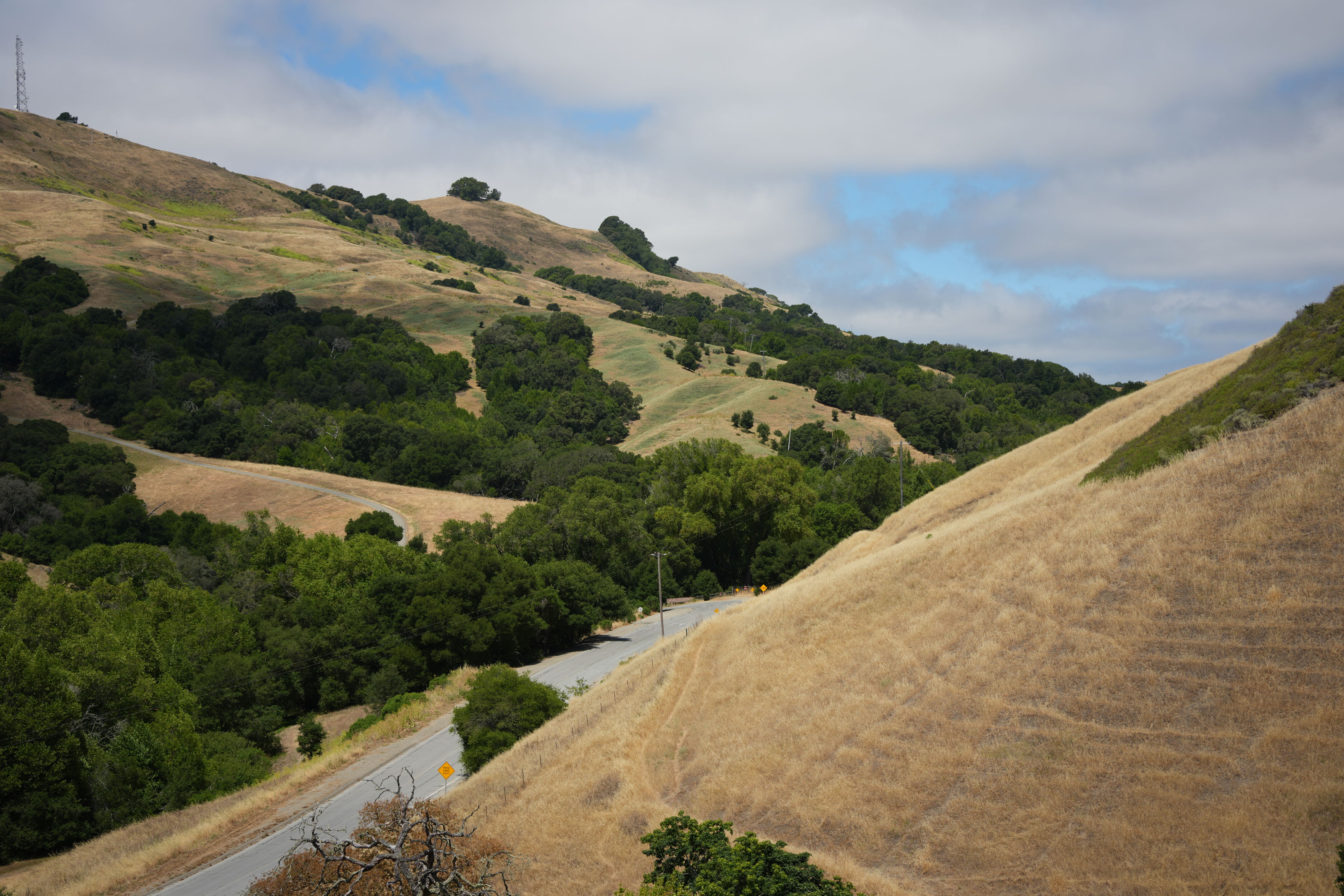 Las Trampas Wilderness Regional Preserve