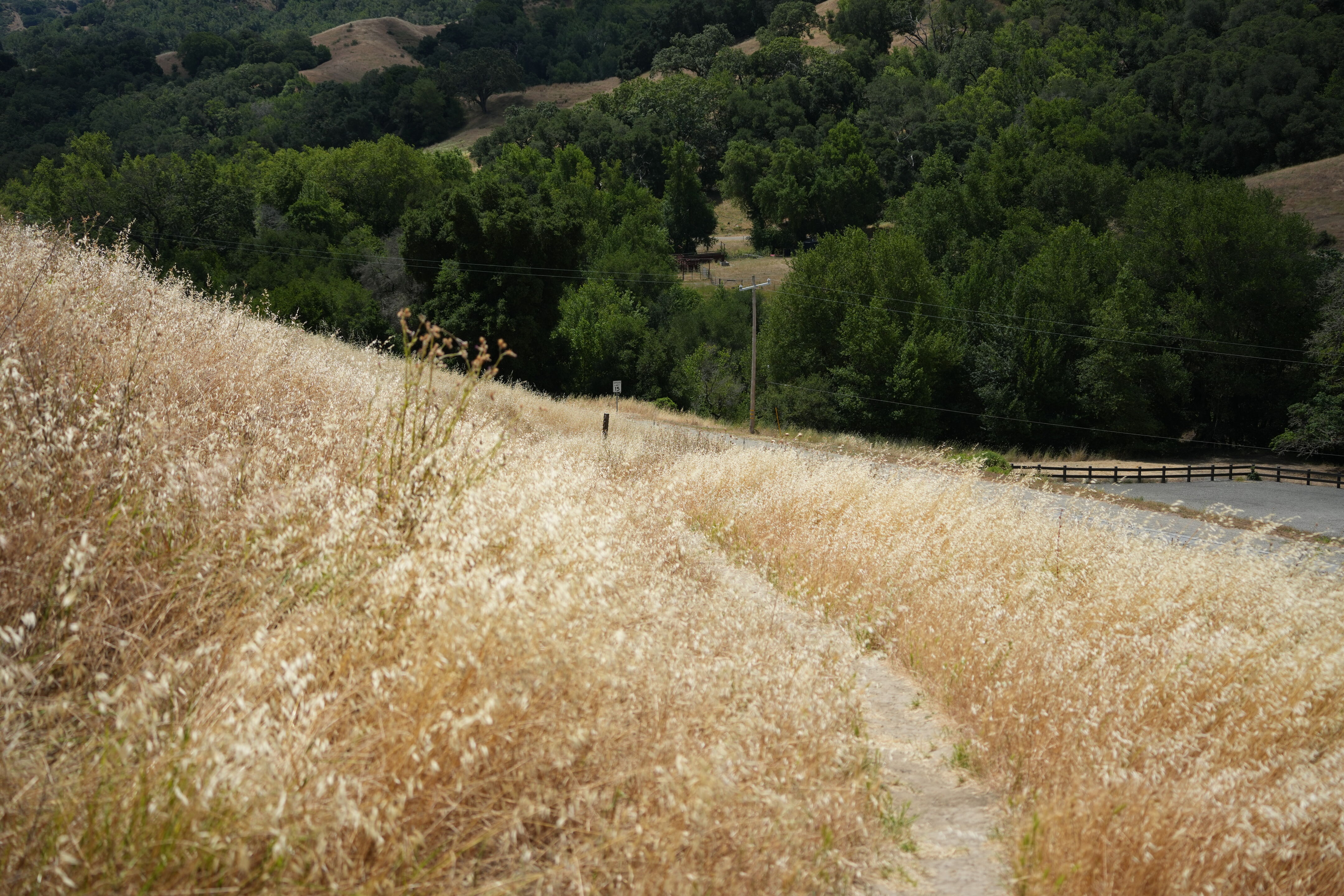 Las Trampas Wilderness Regional Preserve