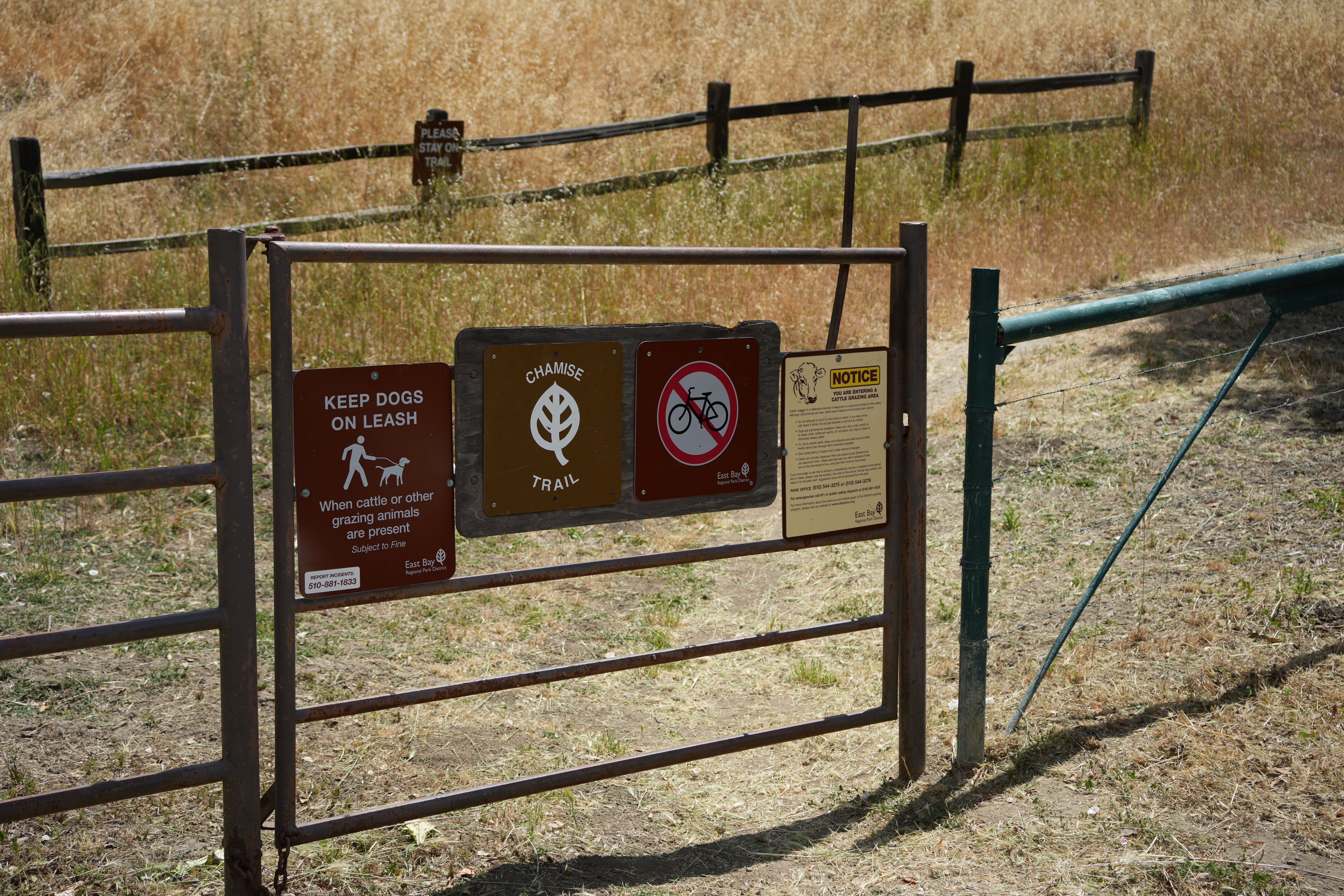 Las Trampas Wilderness Regional Preserve