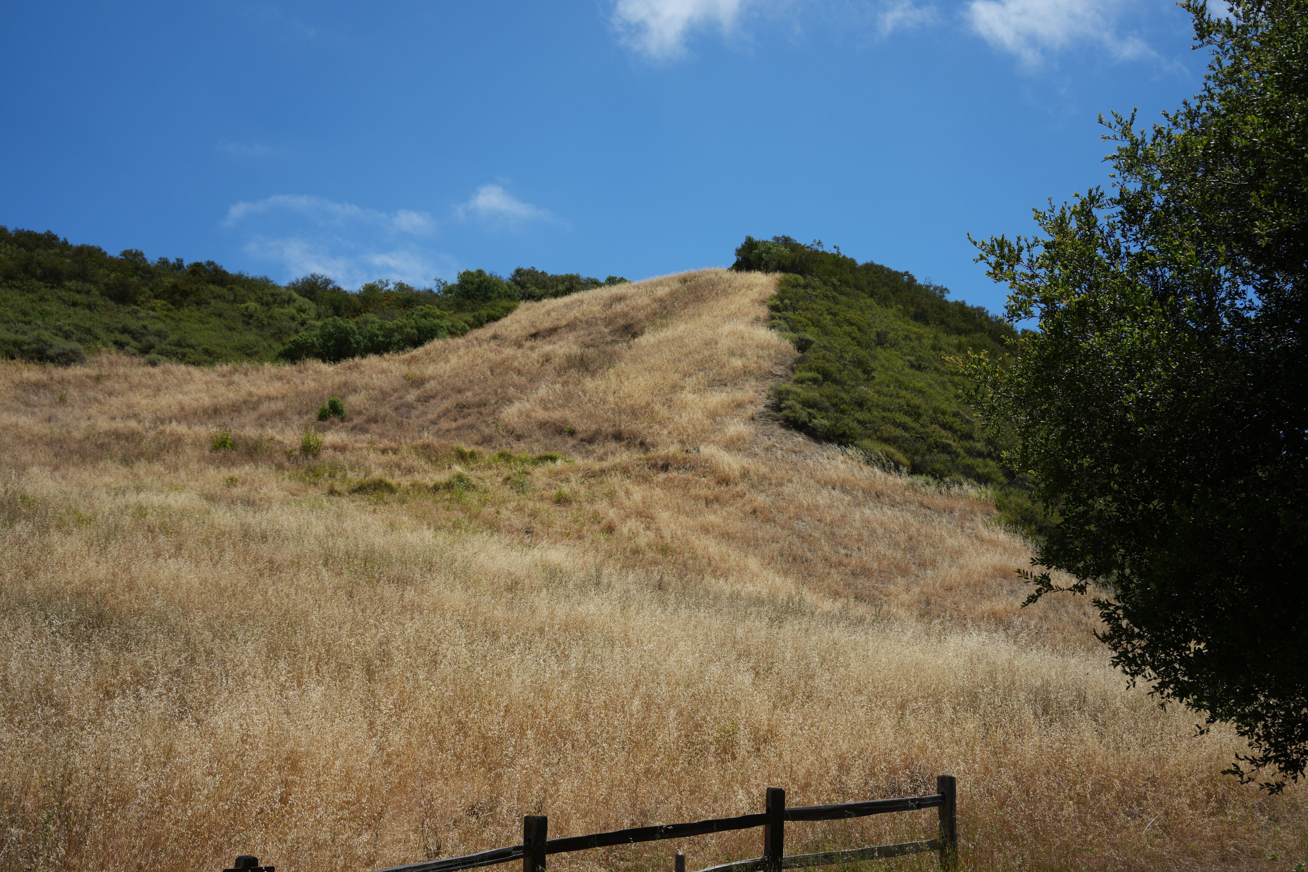 Las Trampas Wilderness Regional Preserve