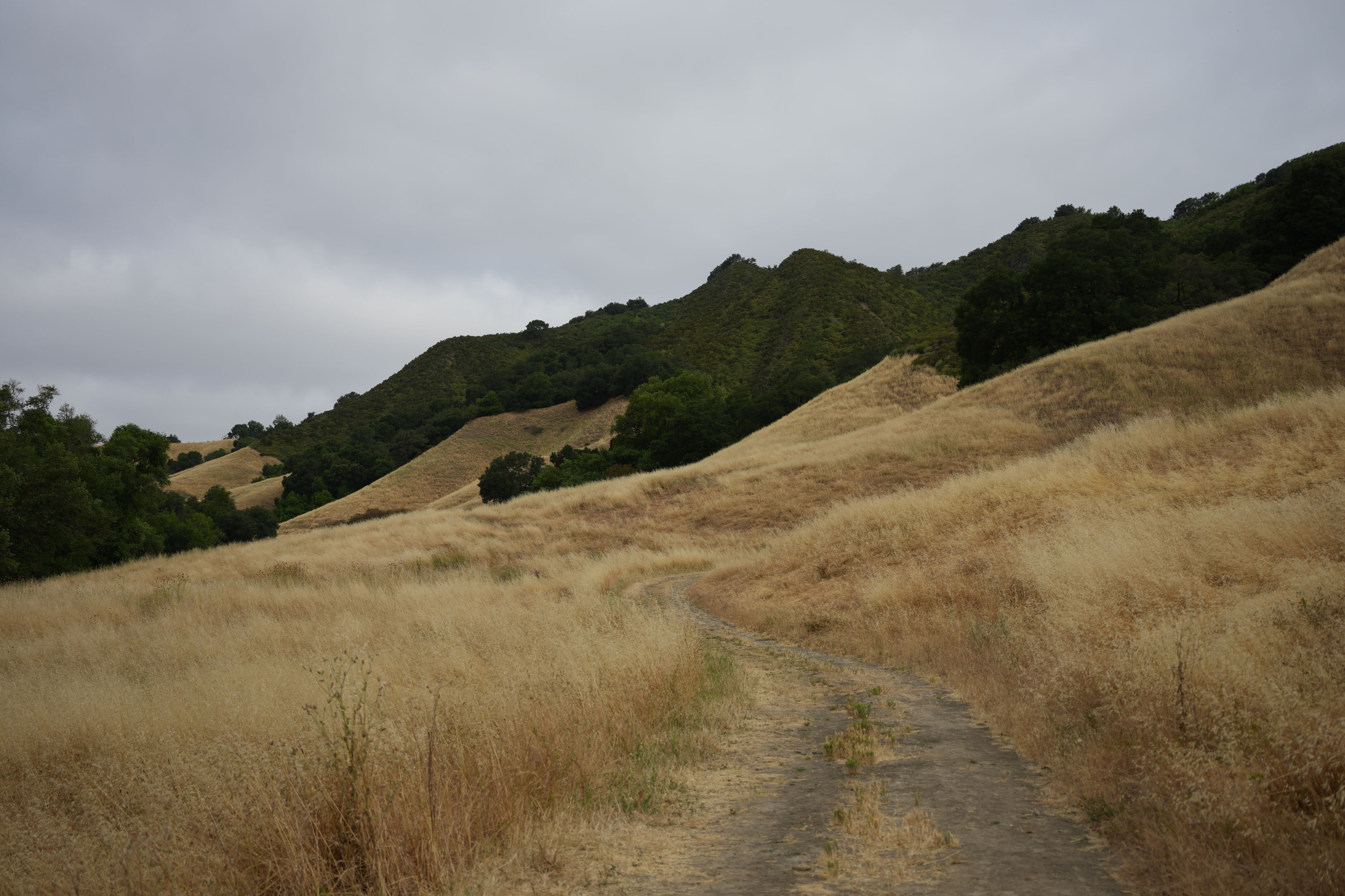 Las Trampas Wilderness Regional Preserve
