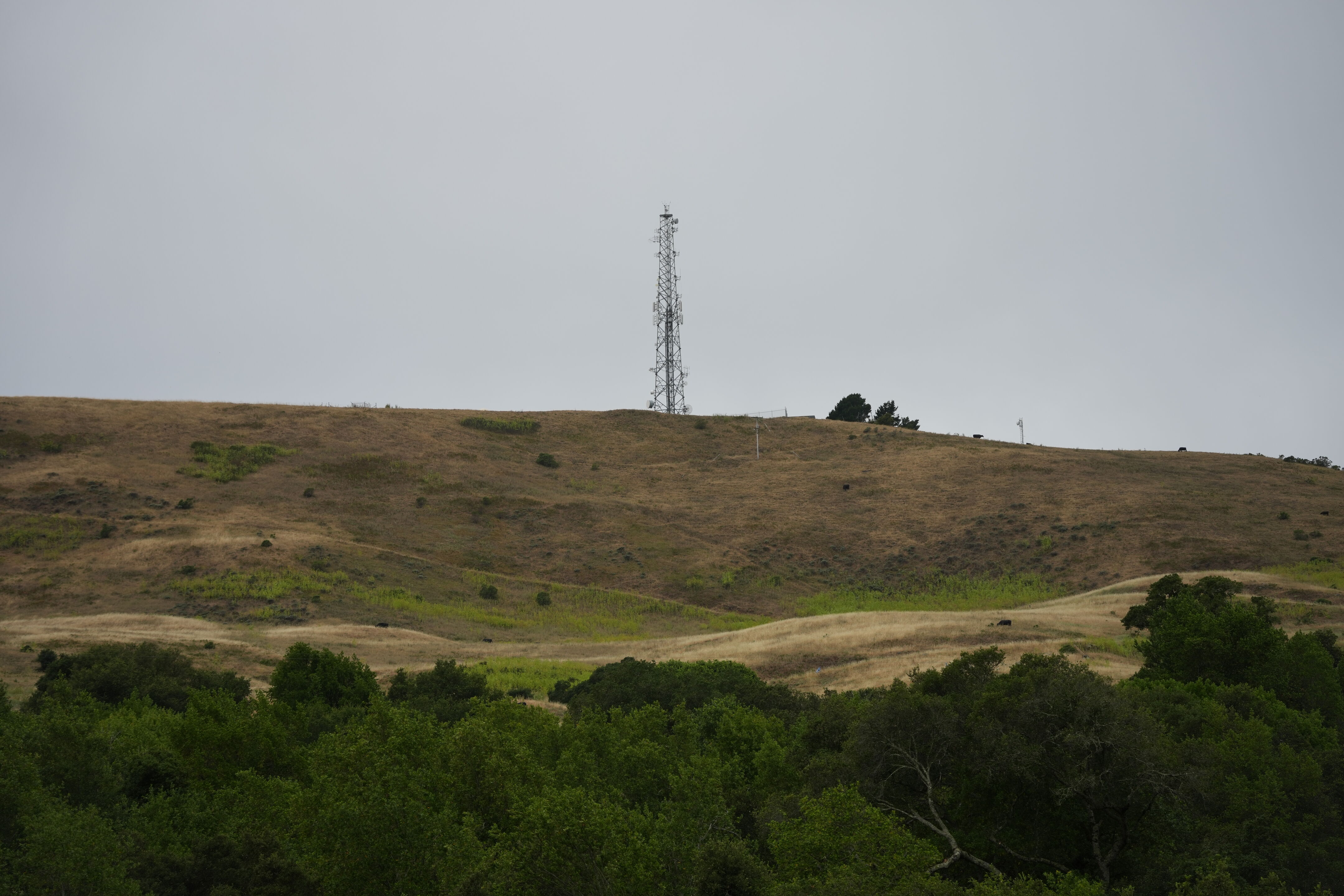 Las Trampas Wilderness Regional Preserve