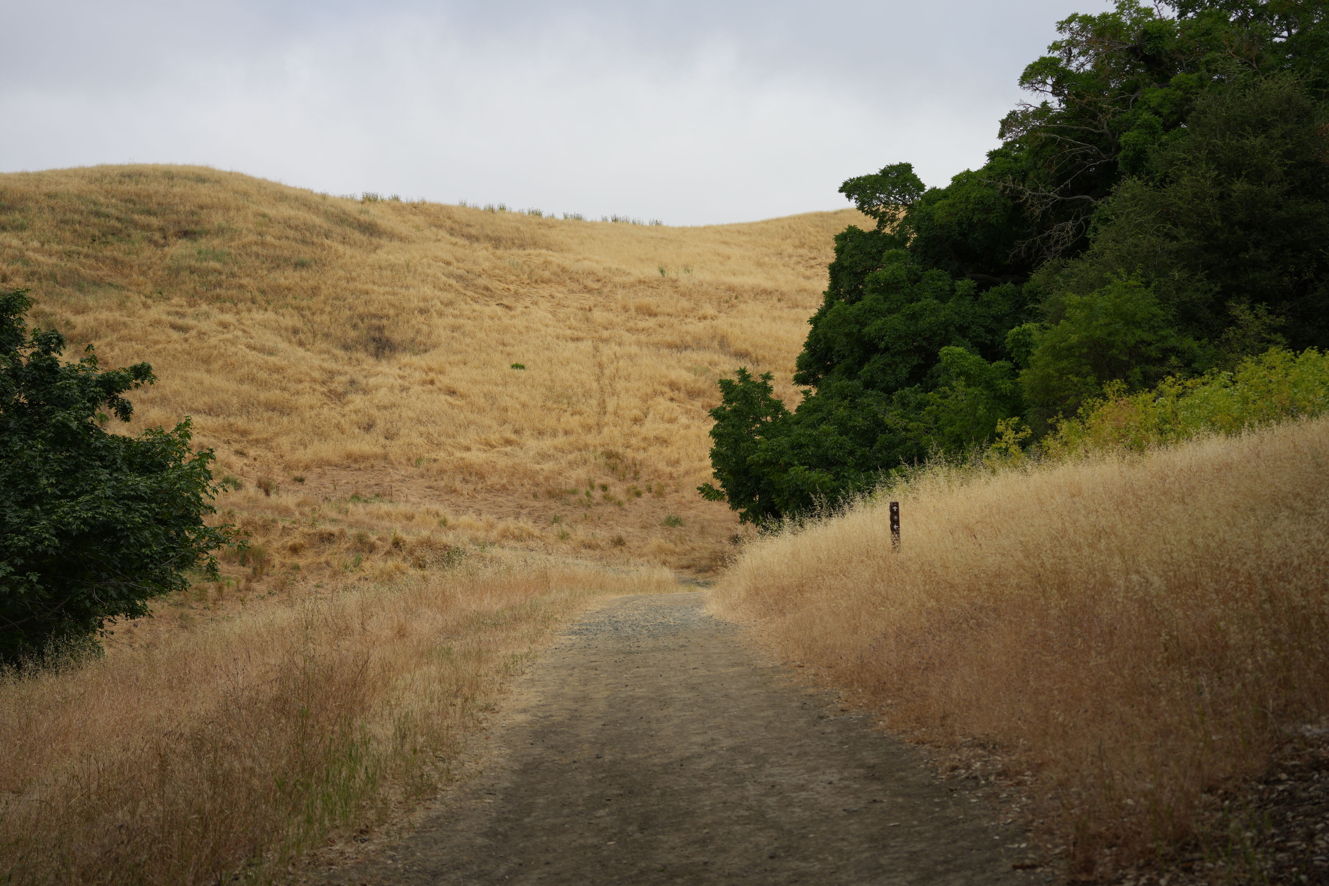 Las Trampas Wilderness Regional Preserve