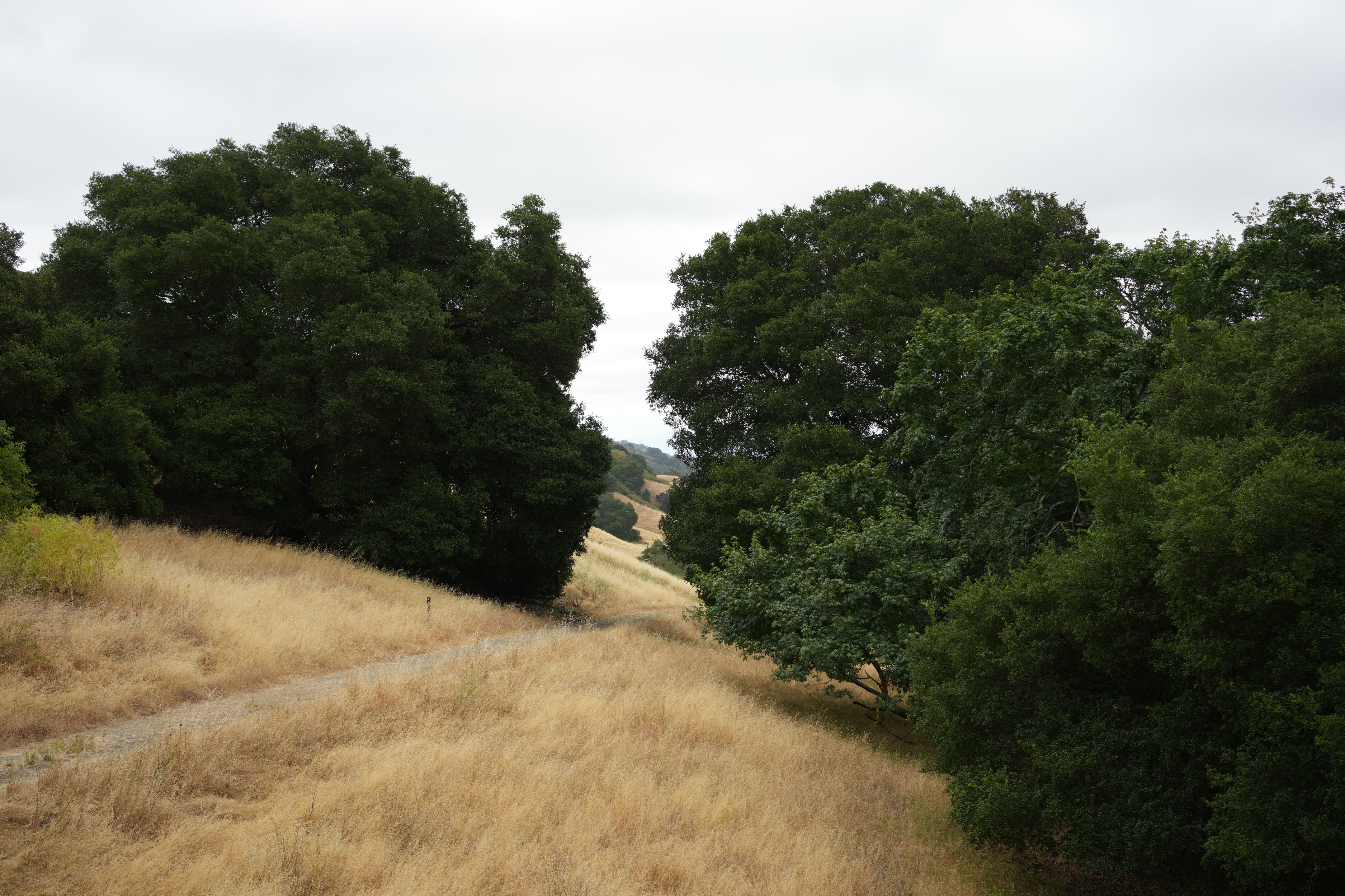Las Trampas Wilderness Regional Preserve