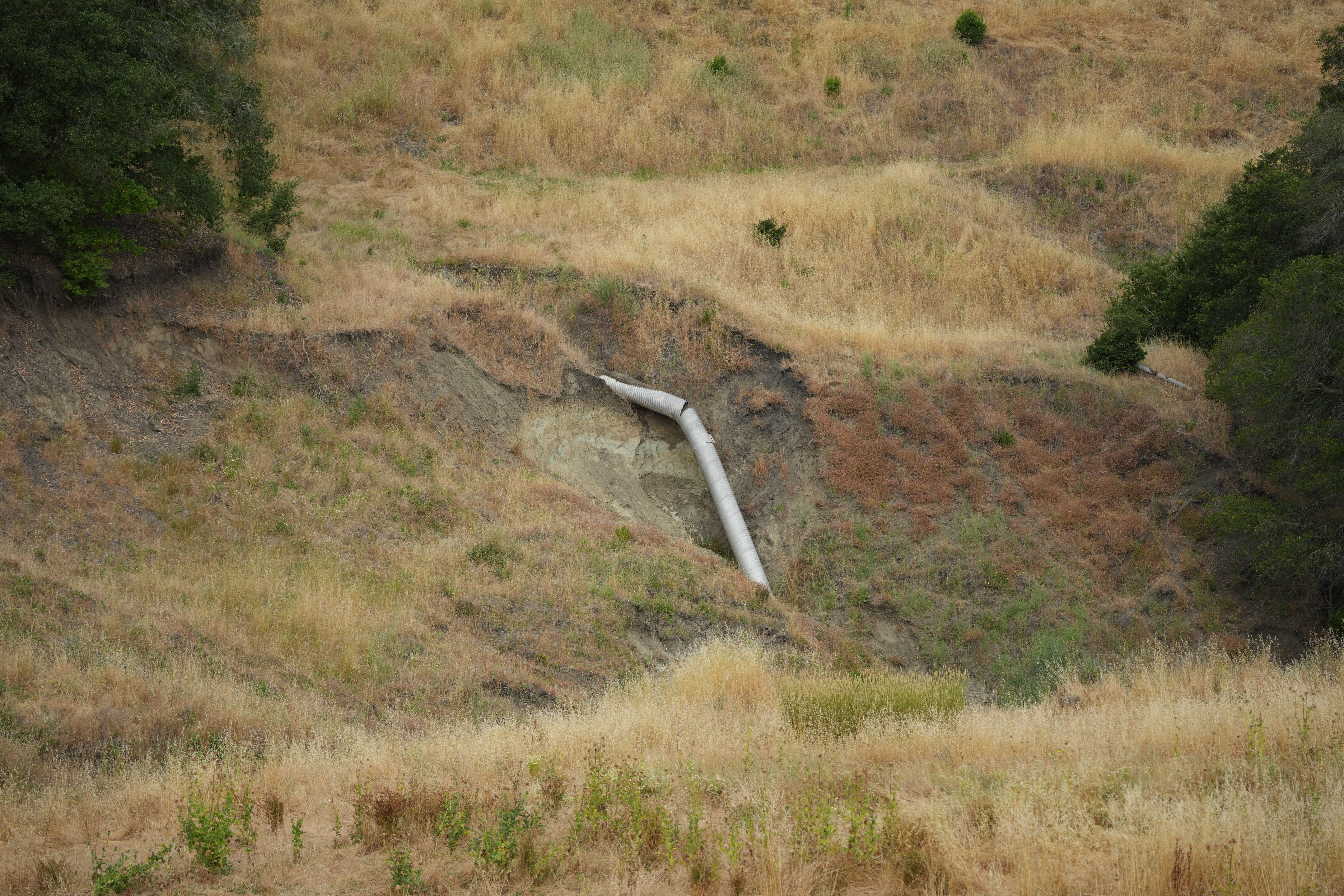 Las Trampas Wilderness Regional Preserve