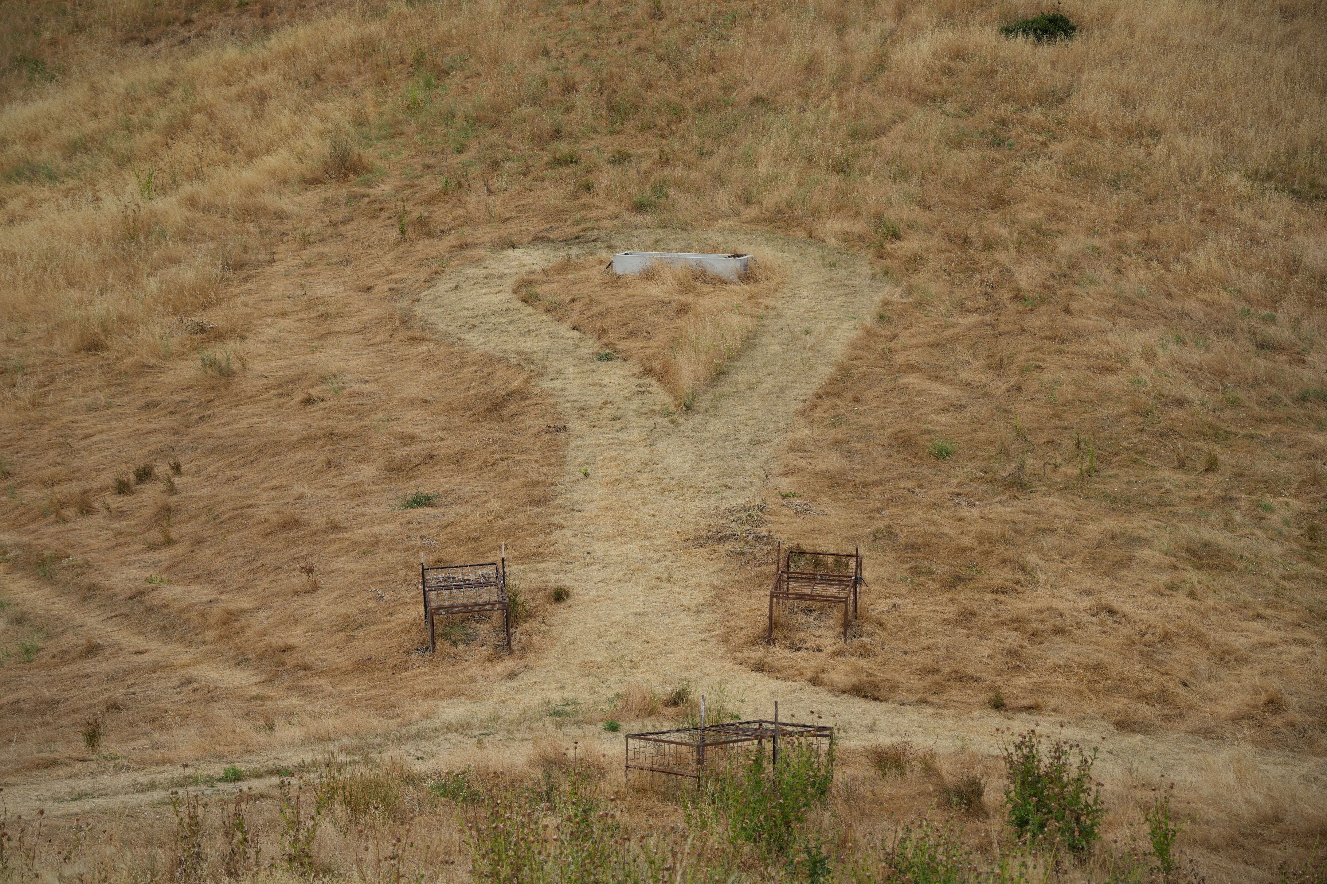 Las Trampas Wilderness Regional Preserve