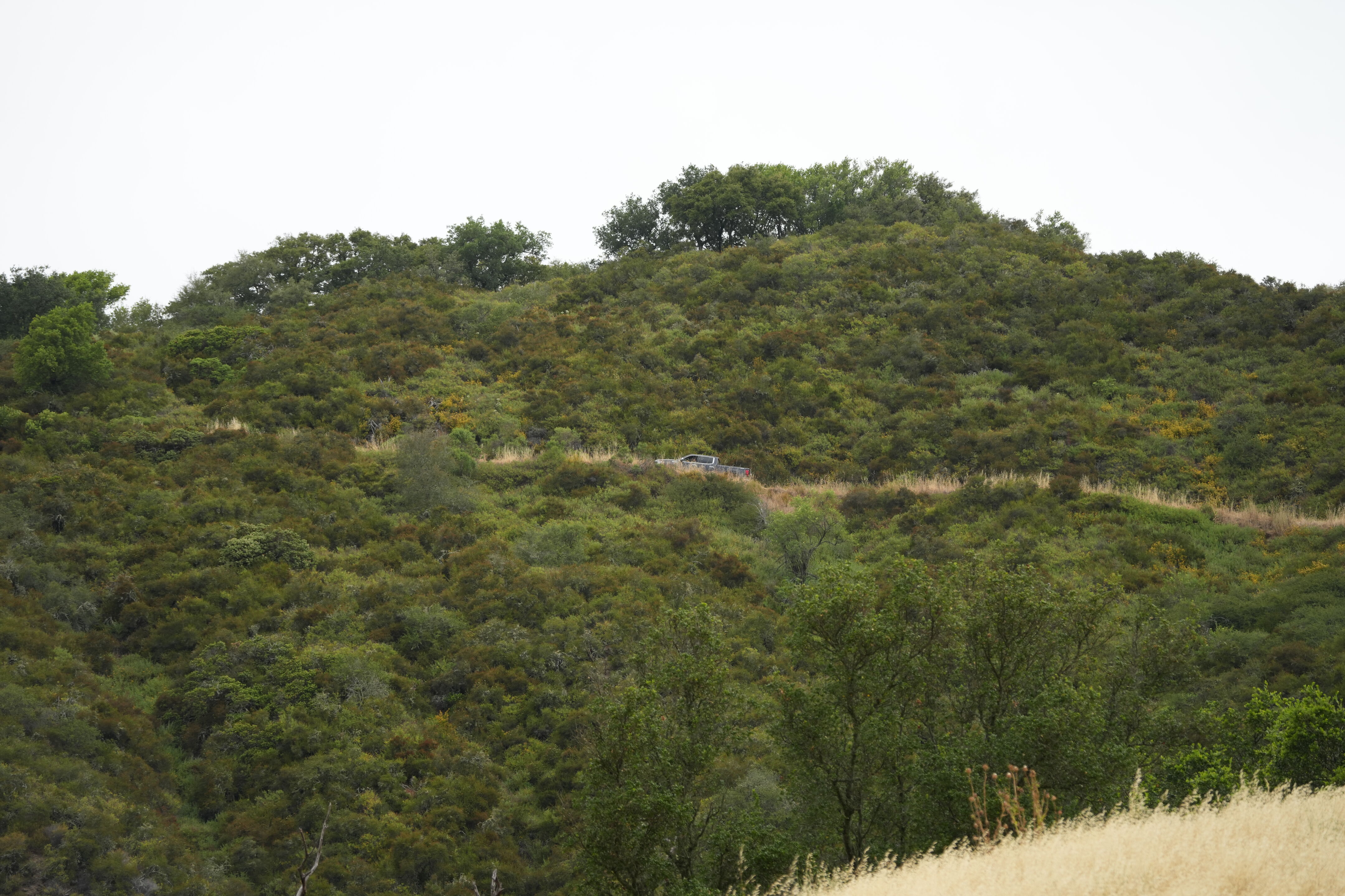 Las Trampas Wilderness Regional Preserve