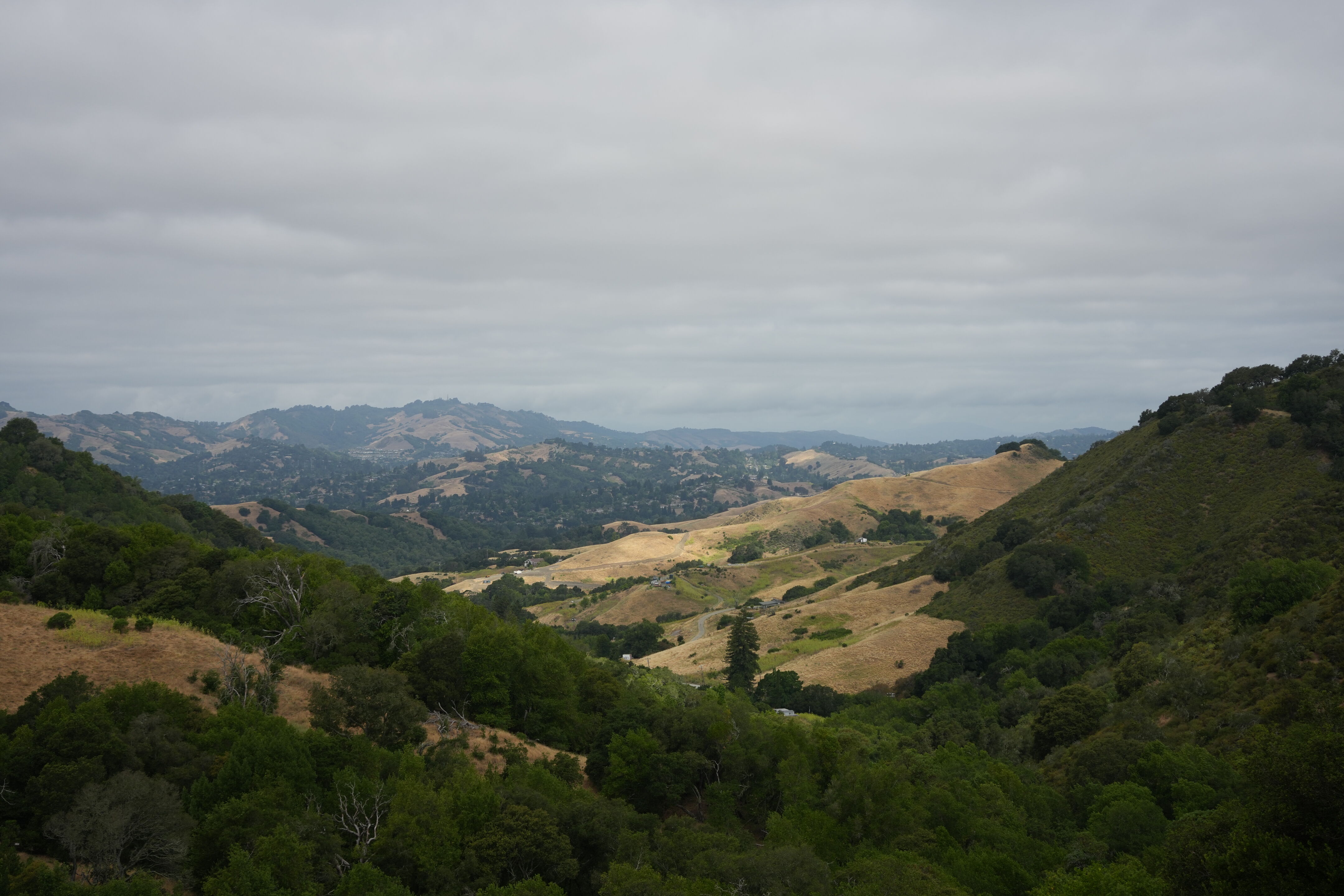 Las Trampas Wilderness Regional Preserve