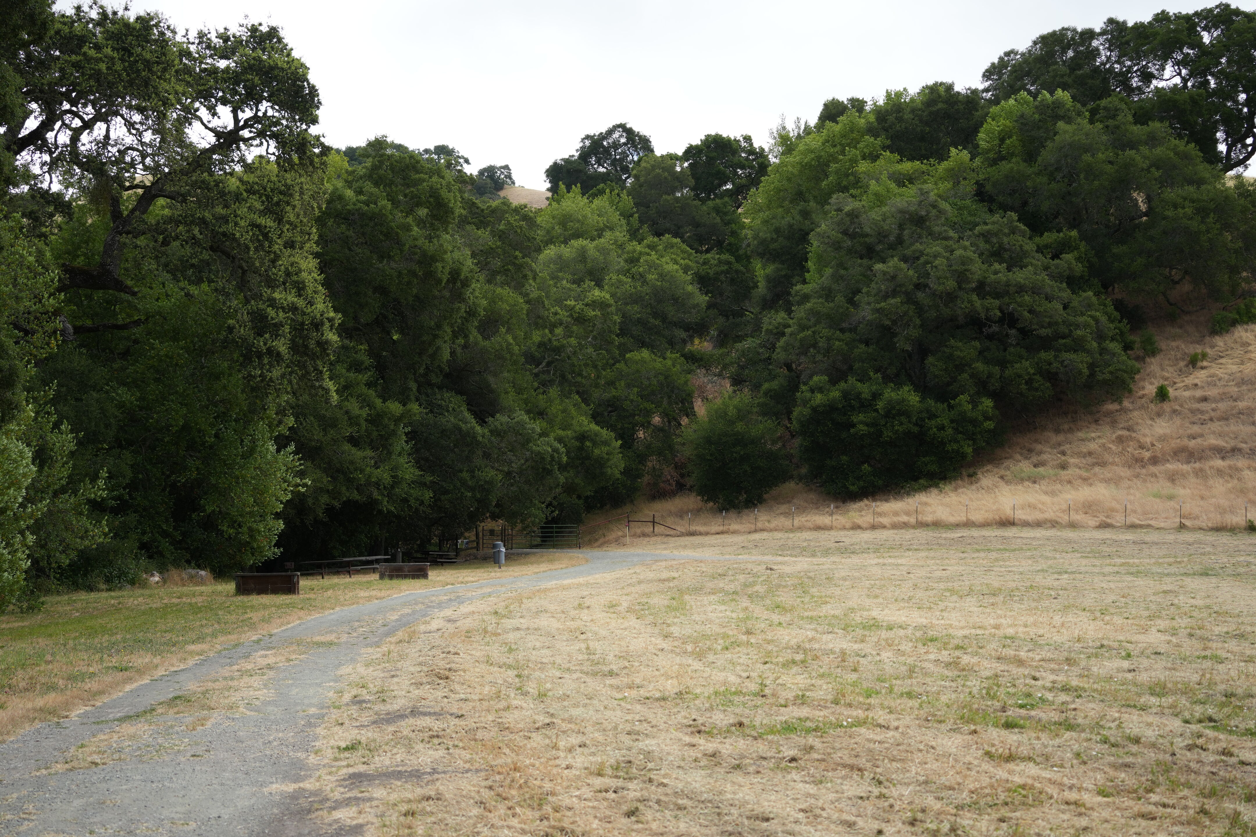 Briones Regional Park