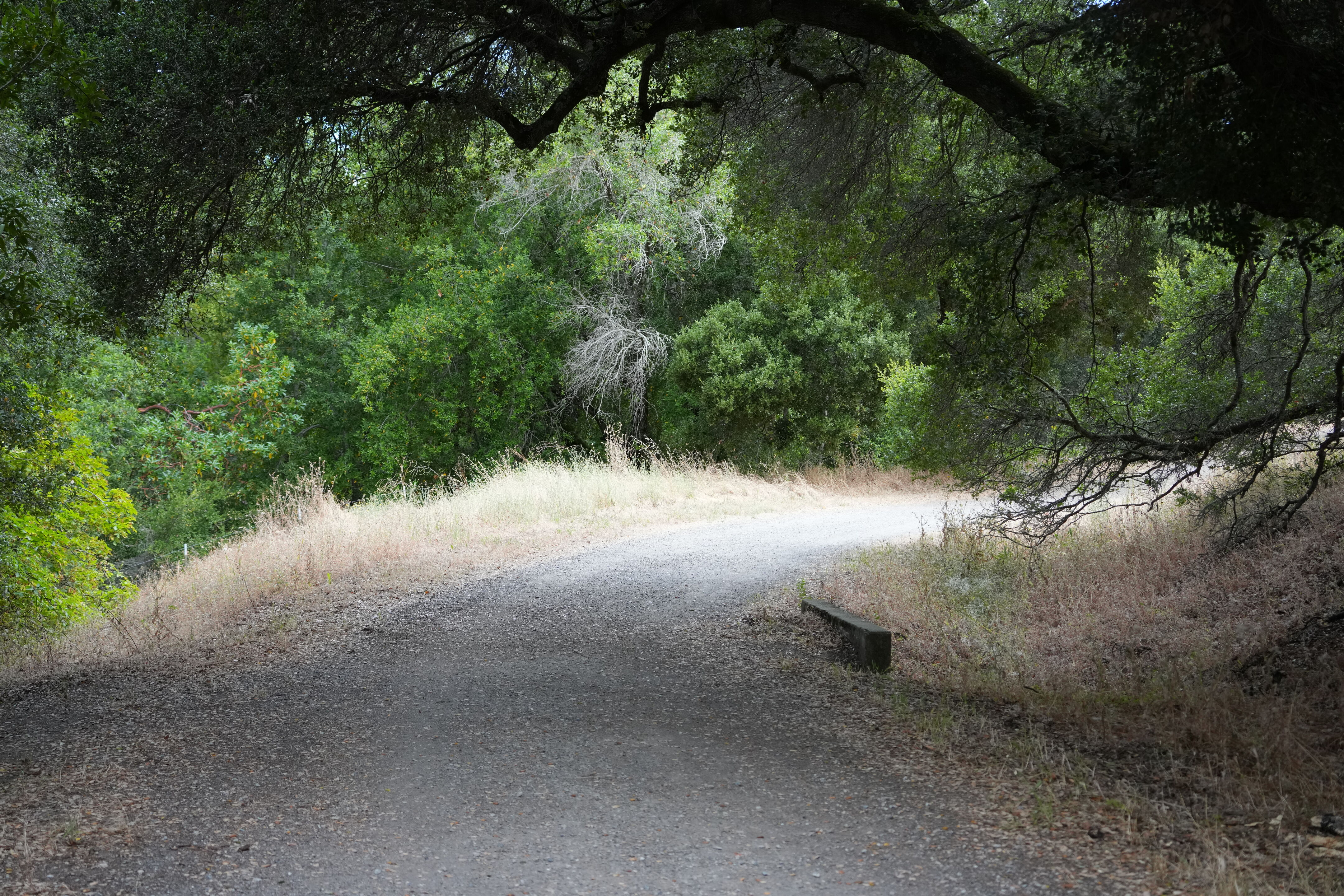 Briones Regional Park
