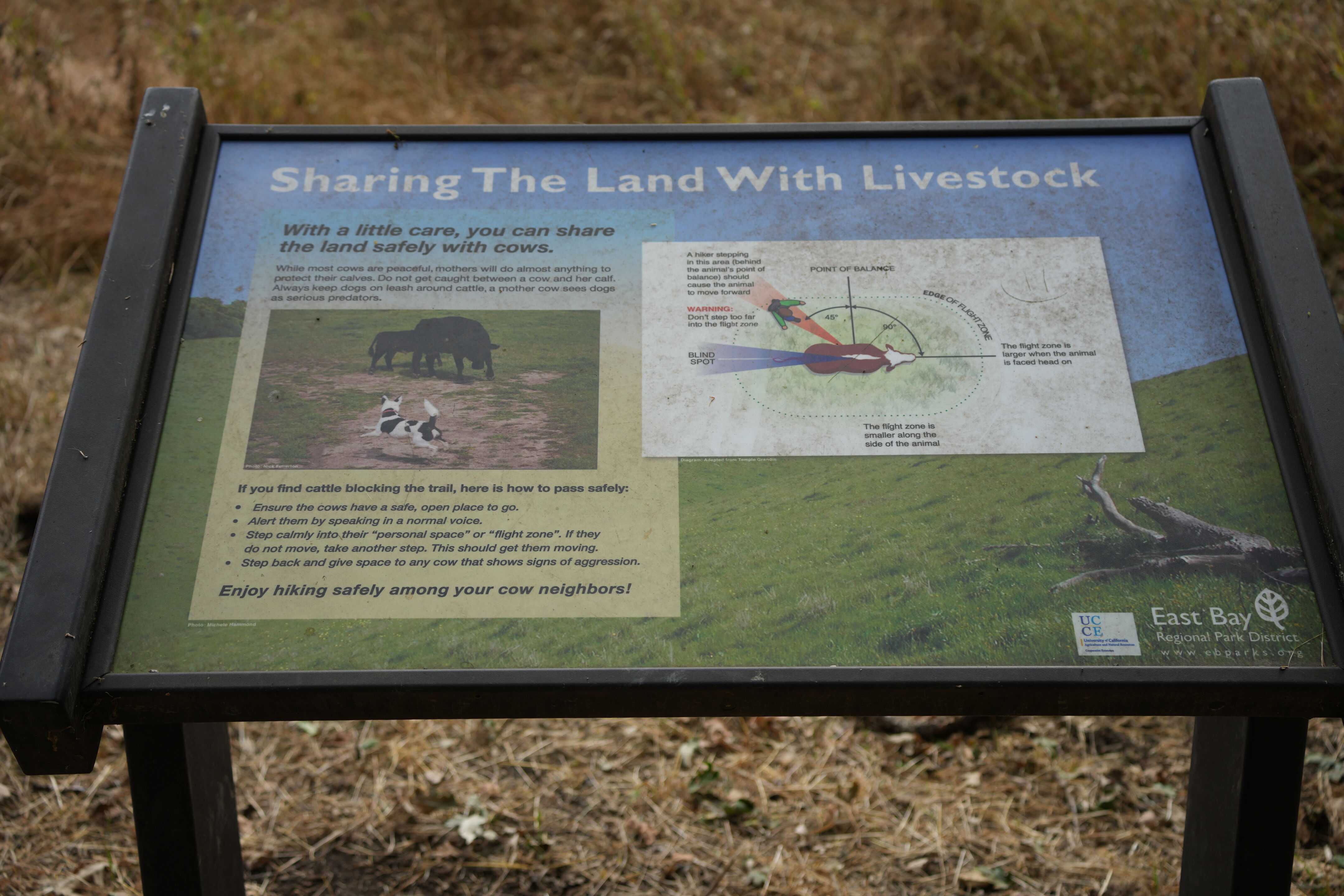 Briones Regional Park