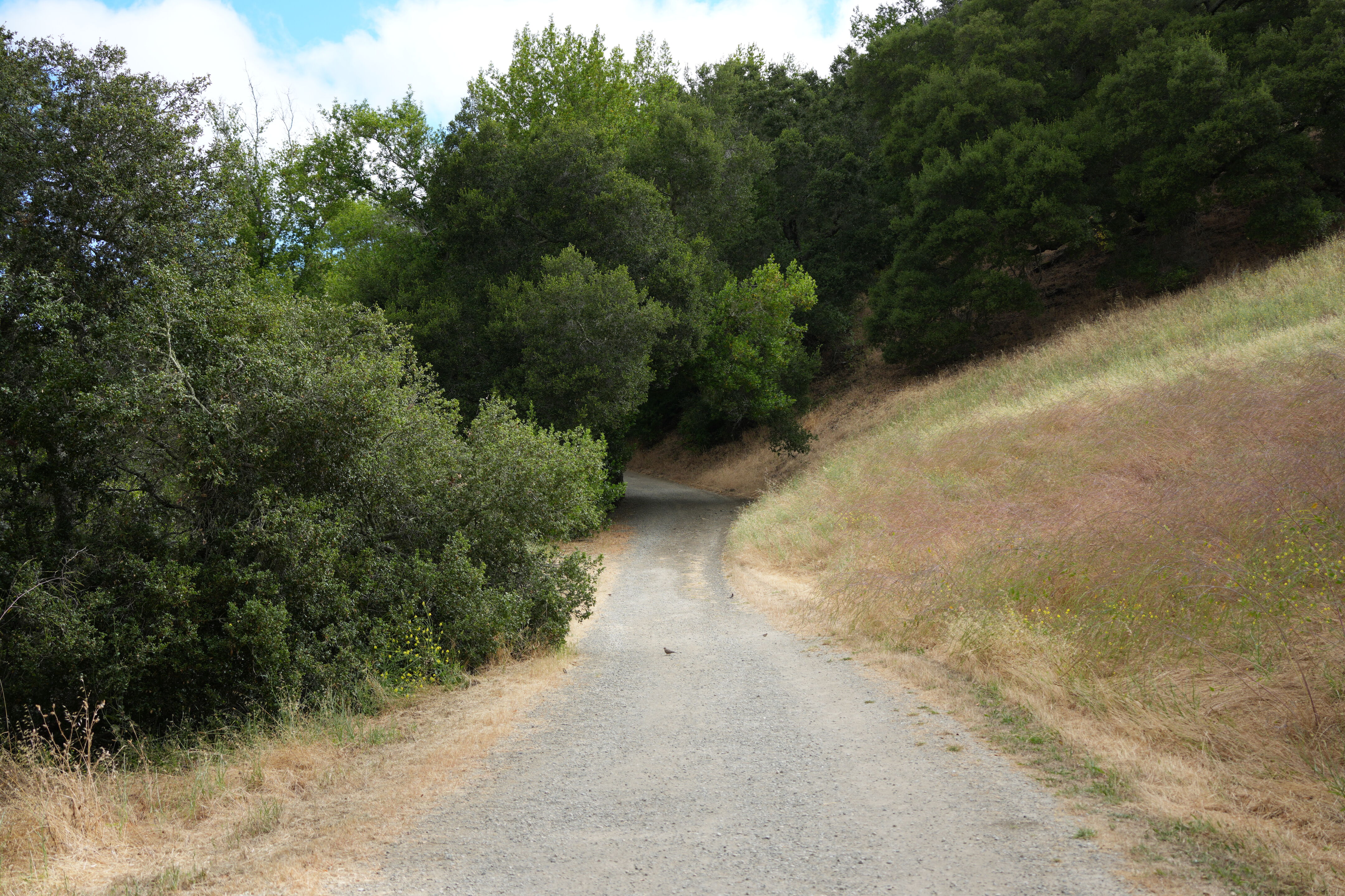 Briones Regional Park