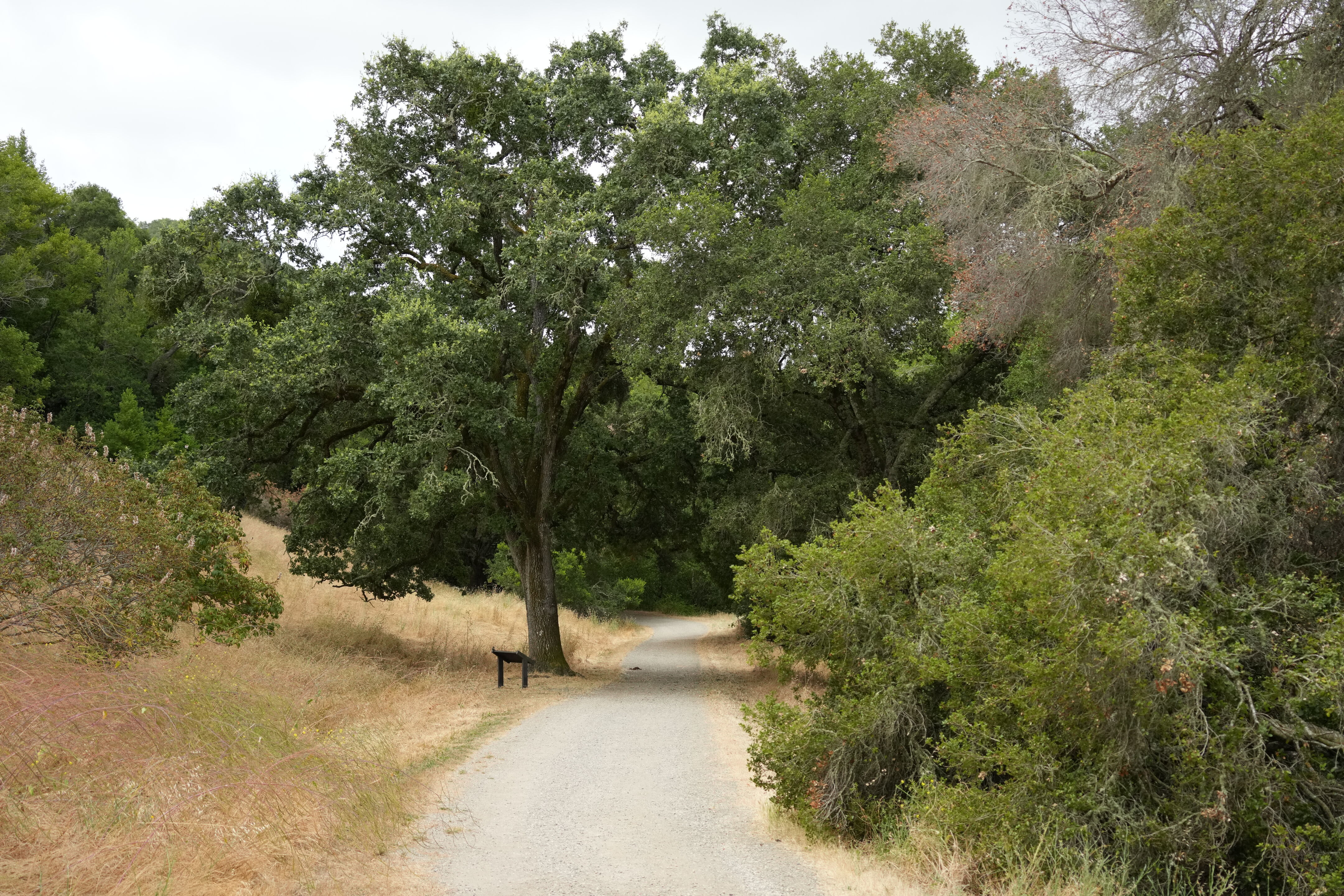 Briones Regional Park