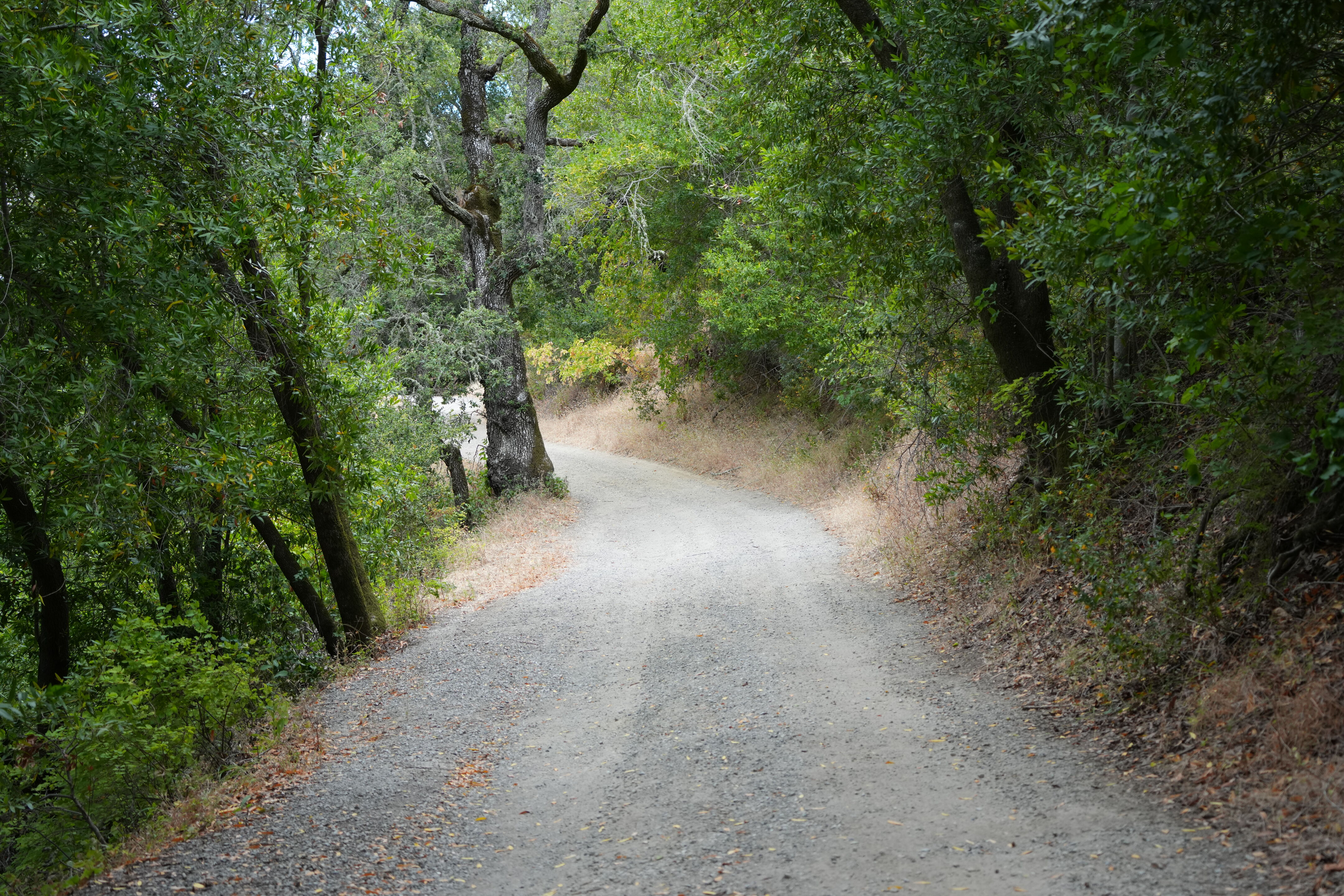 Briones Regional Park