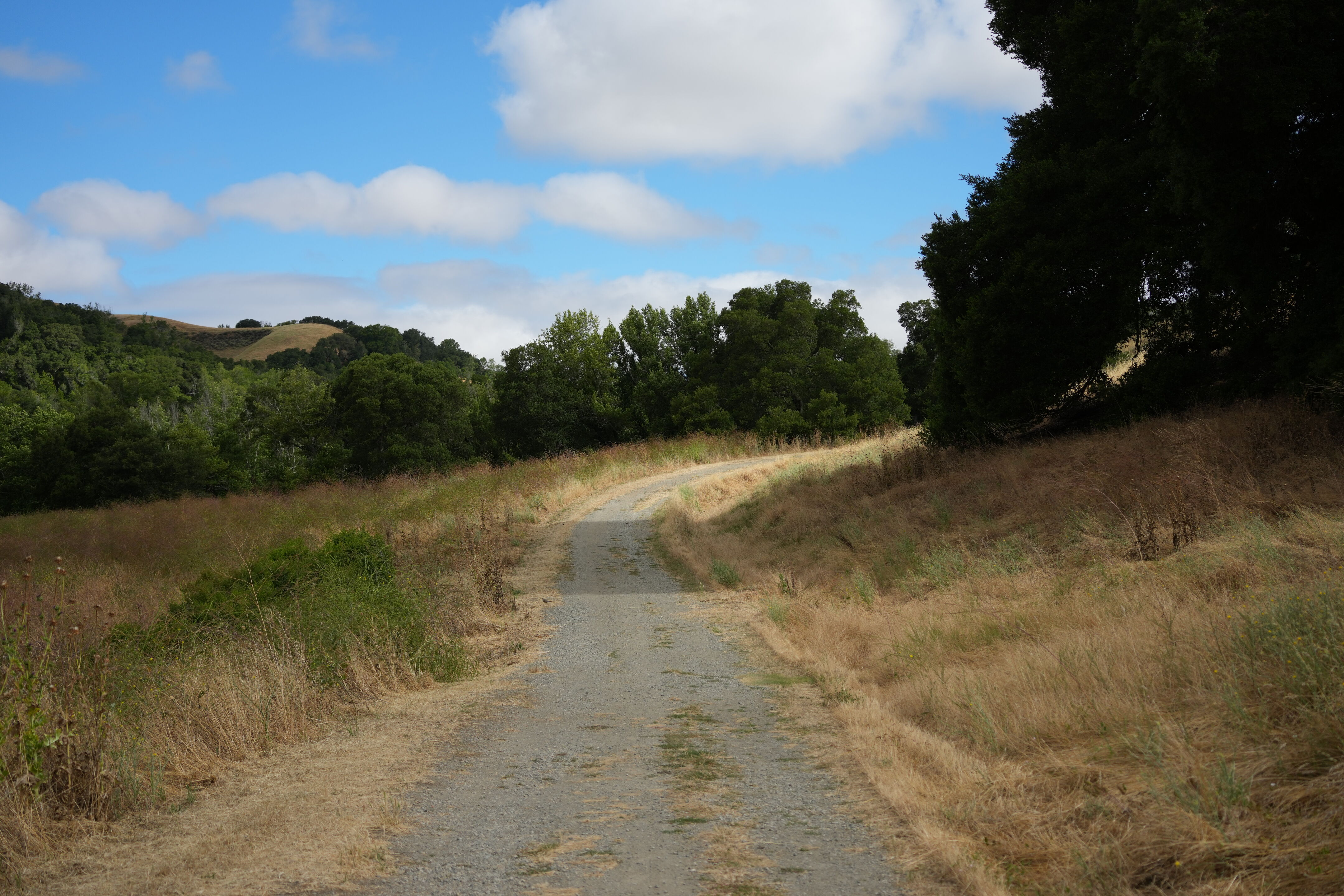 Briones Regional Park